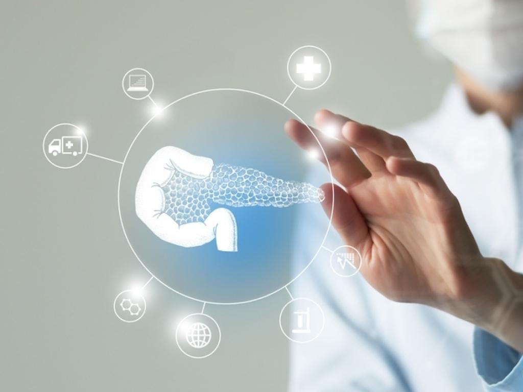  silexion-therapeutics-shares-surge-on-positive-preclinical-pancreatic-cancer-data 