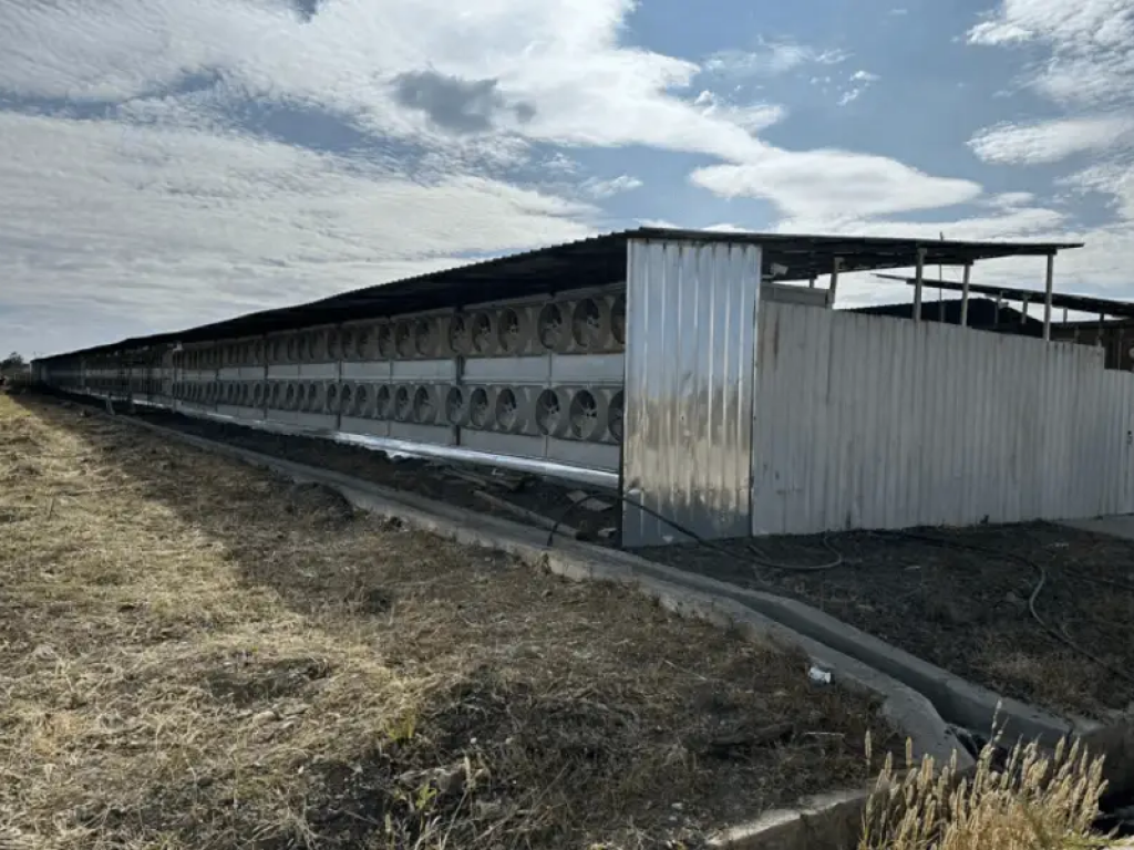  bit-mining-rebrands-again-as-it-pivots-to-integrating-ai-and-blockchain-technology 