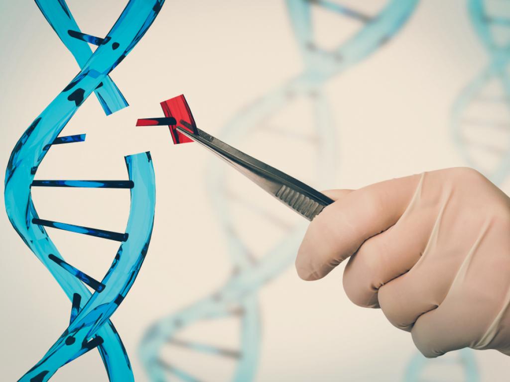  why-is-crispr-genome-editing-firm-caribou-biosciences-stock-trading-higher-today 