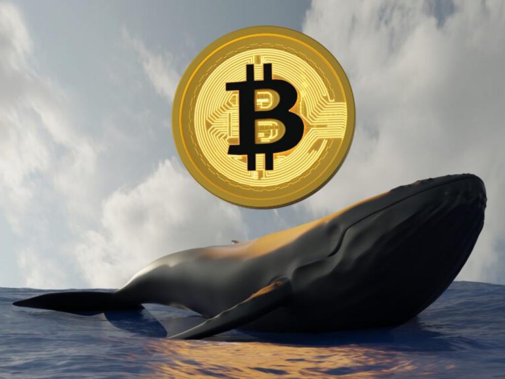  bitcoin-whales-continue-to-sellheres-what-it-means-for-the-bull-market 