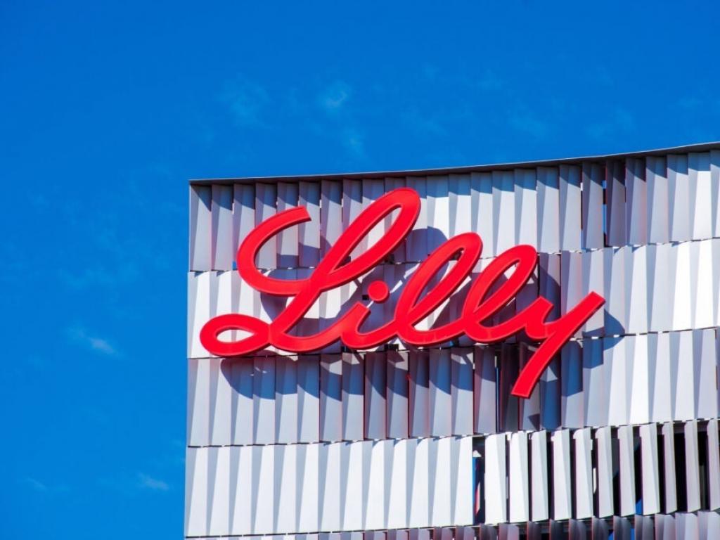  eli-lilly-novo-nordisk-stocks-rise-on-reported-149-obesity-drug-deal-with-white-house 