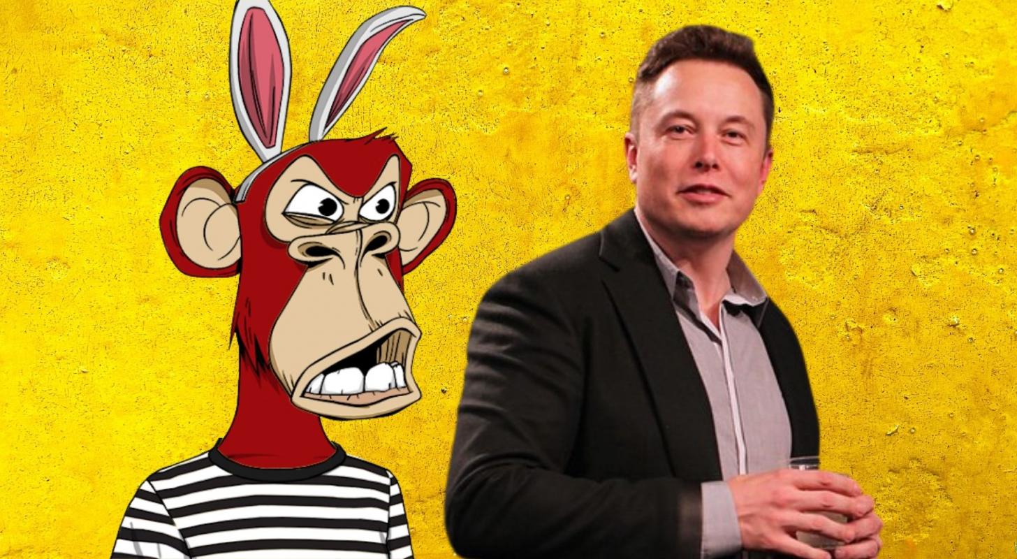 Does Elon Musk Own 101 Bored Ape Yacht Club NFTs?