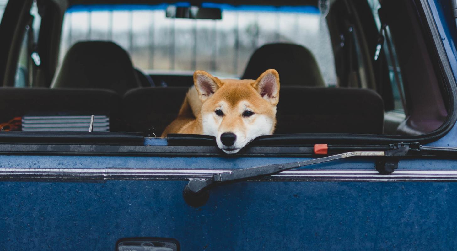 Another 40,000 Dogecoin Holders Exit At $0.12