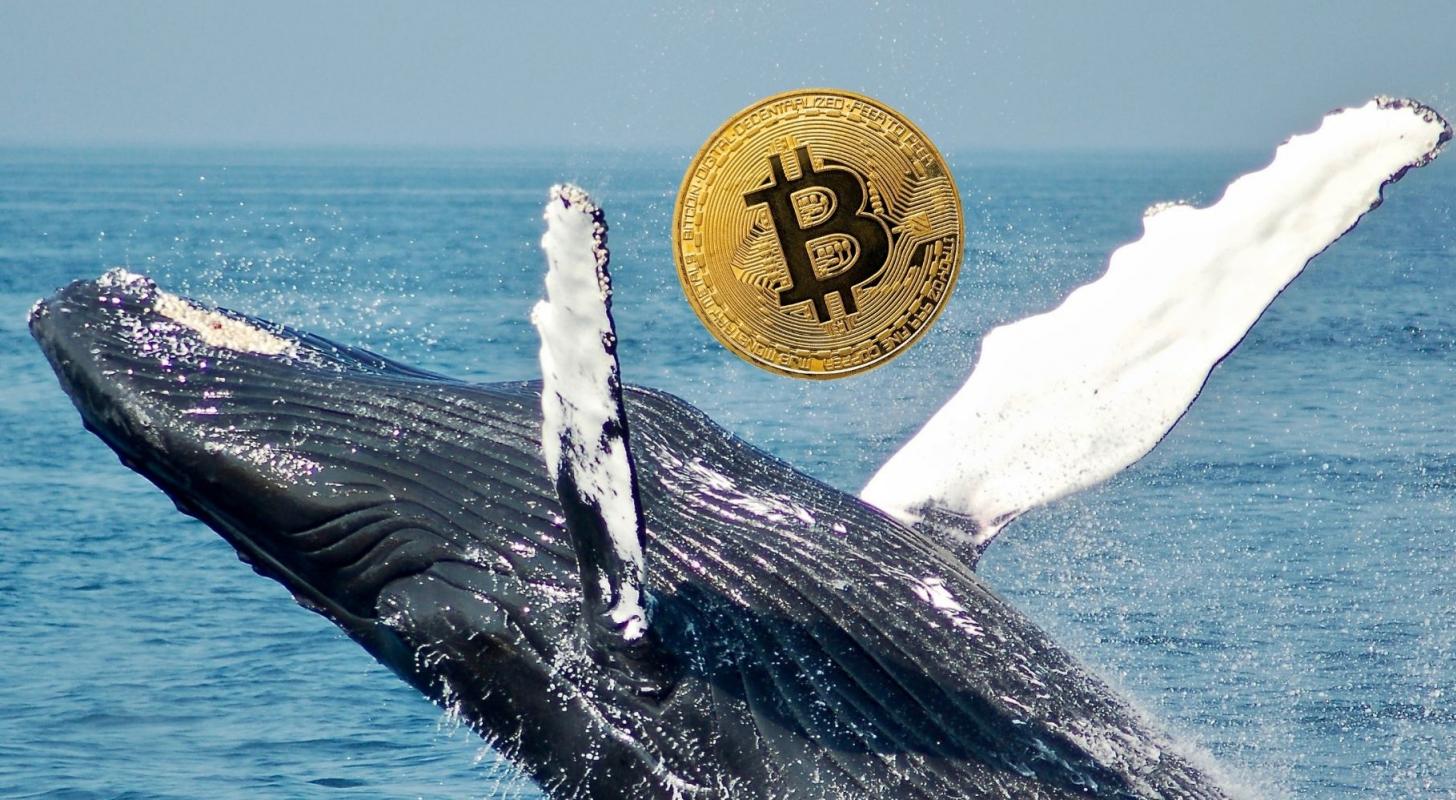 Bitcoin Whales Are Alive: Mean Transaction Volume At 7-Month High