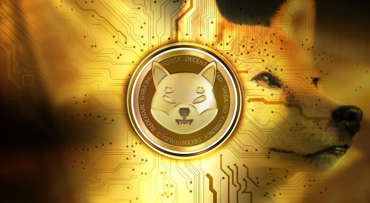 Shiba Inu Sees 260% Surge In Large Transactions Over 24 Hours