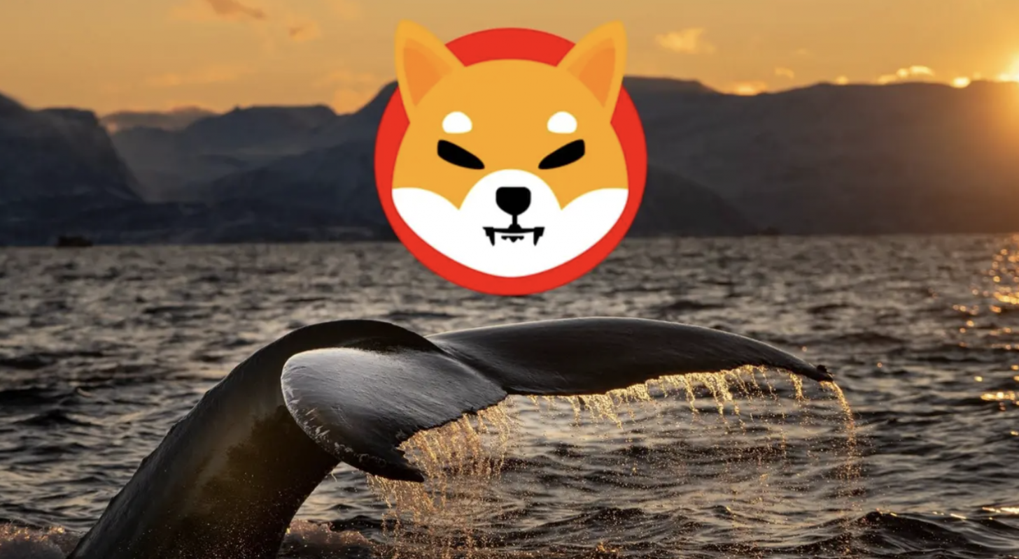 Ethereum Whale Buys $1.5M Worth Of Shiba Inu In One Shot