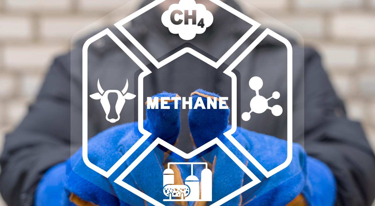 Cathie Wood Shares How Bitcoin Miners Can Harness Harmful Methane Emissions