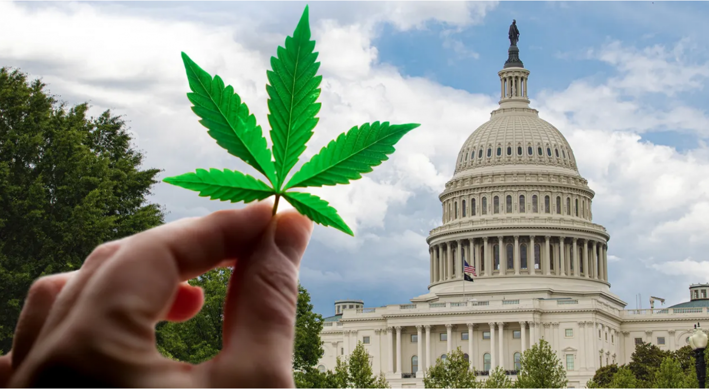 3 Global Brewers Paying Dividends, Exploring Cannabis – Just In Time For Bipartisan Bill