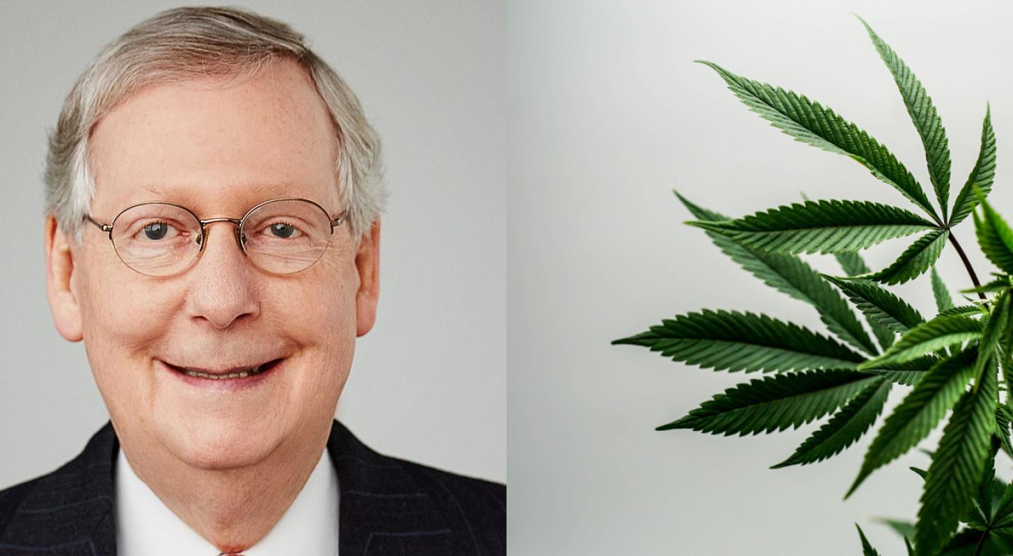 McConnell Pleased That ‘Unrelated Nonsense’ Like Cannabis Reform Wasn’t In NDAA: What’s Next?
