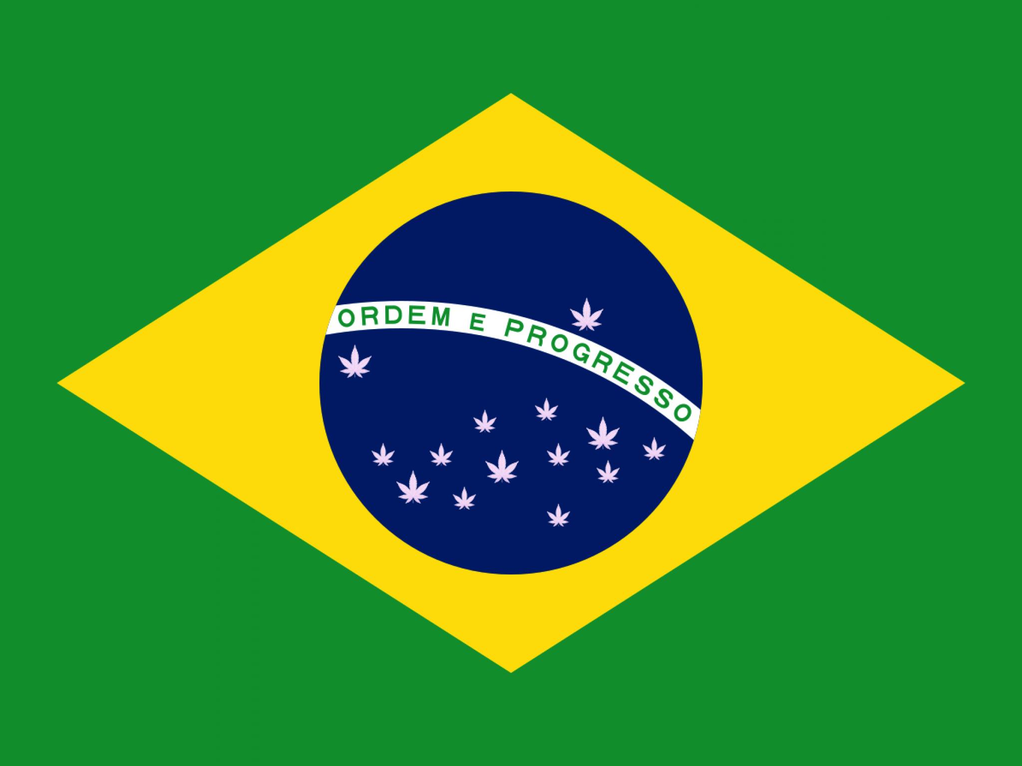  the-week-in-cannabis-brazil-regulates-sales-michigan-starts-adult-sales-lil-wayne-goes-green-federal-agencies-move-forward 