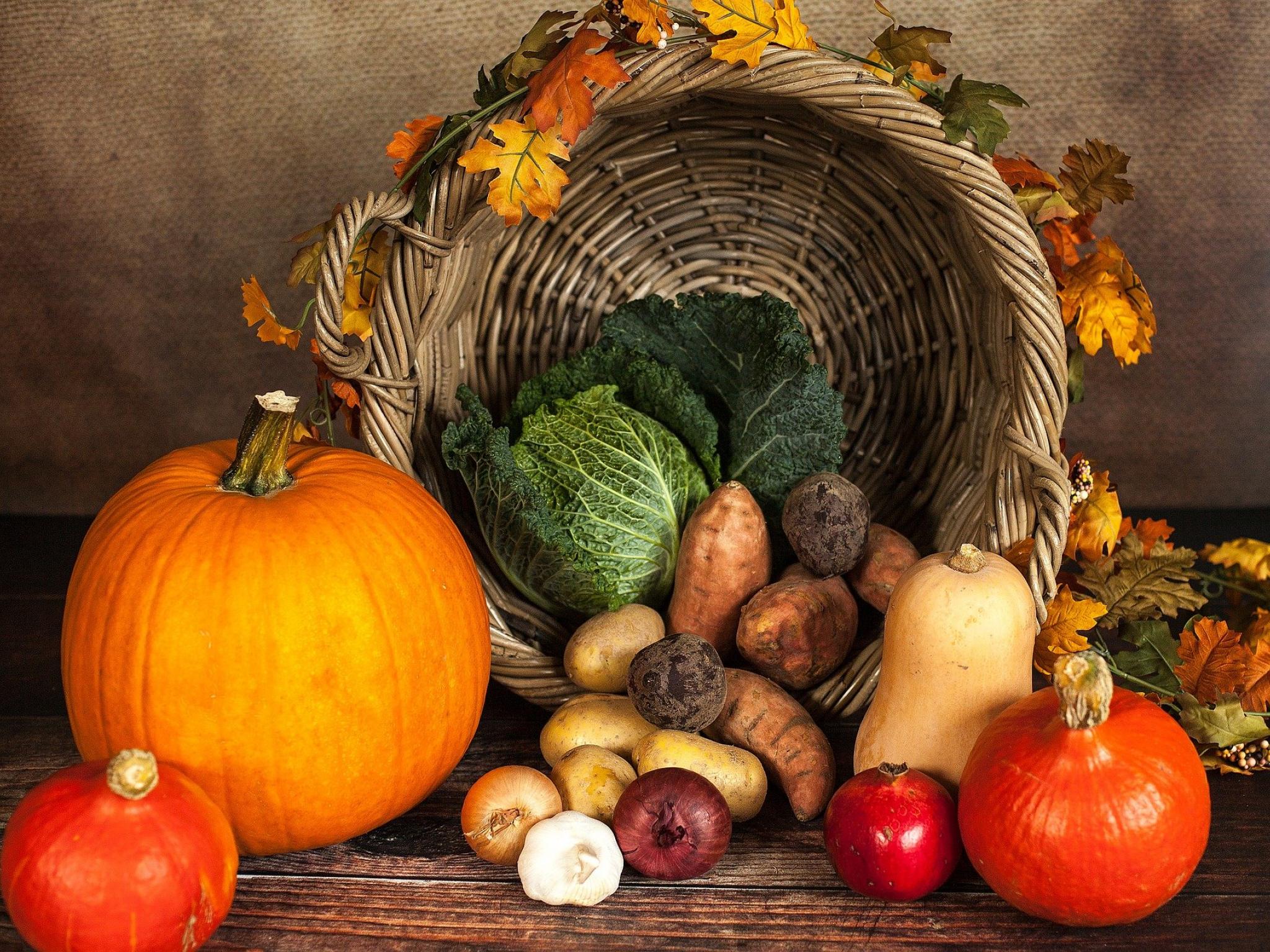  3-etfs-for-thanksgiving-week 