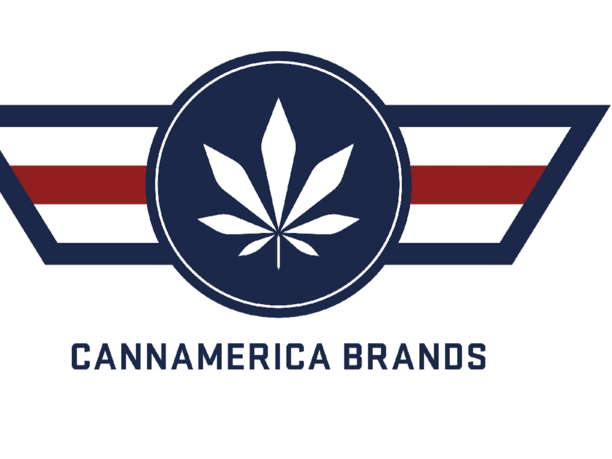  cannamerica-appoints-diana-anglin-as-coo-prepares-to-launch-products-in-massachusetts 