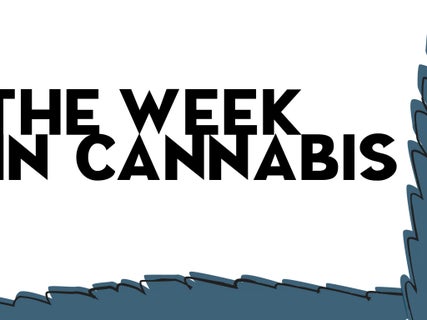 The Week In Cannabis: Amazon Supports Legalization, NY Expands Its Medical Program, Stocks Underperform And More