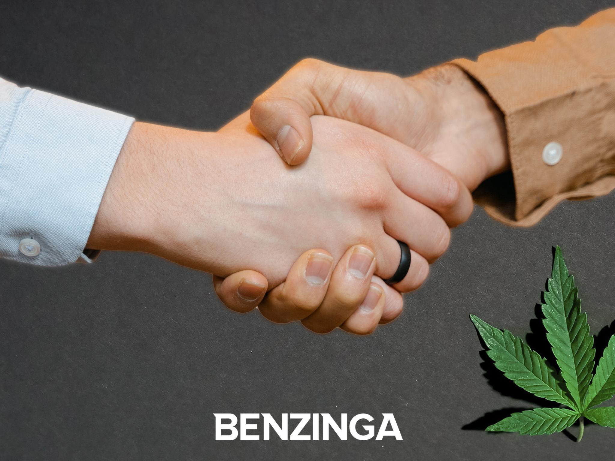  sundial-growers-enters-into-bid-agreement-for-zenabis-global-incs-assets-heres-what-we-know 