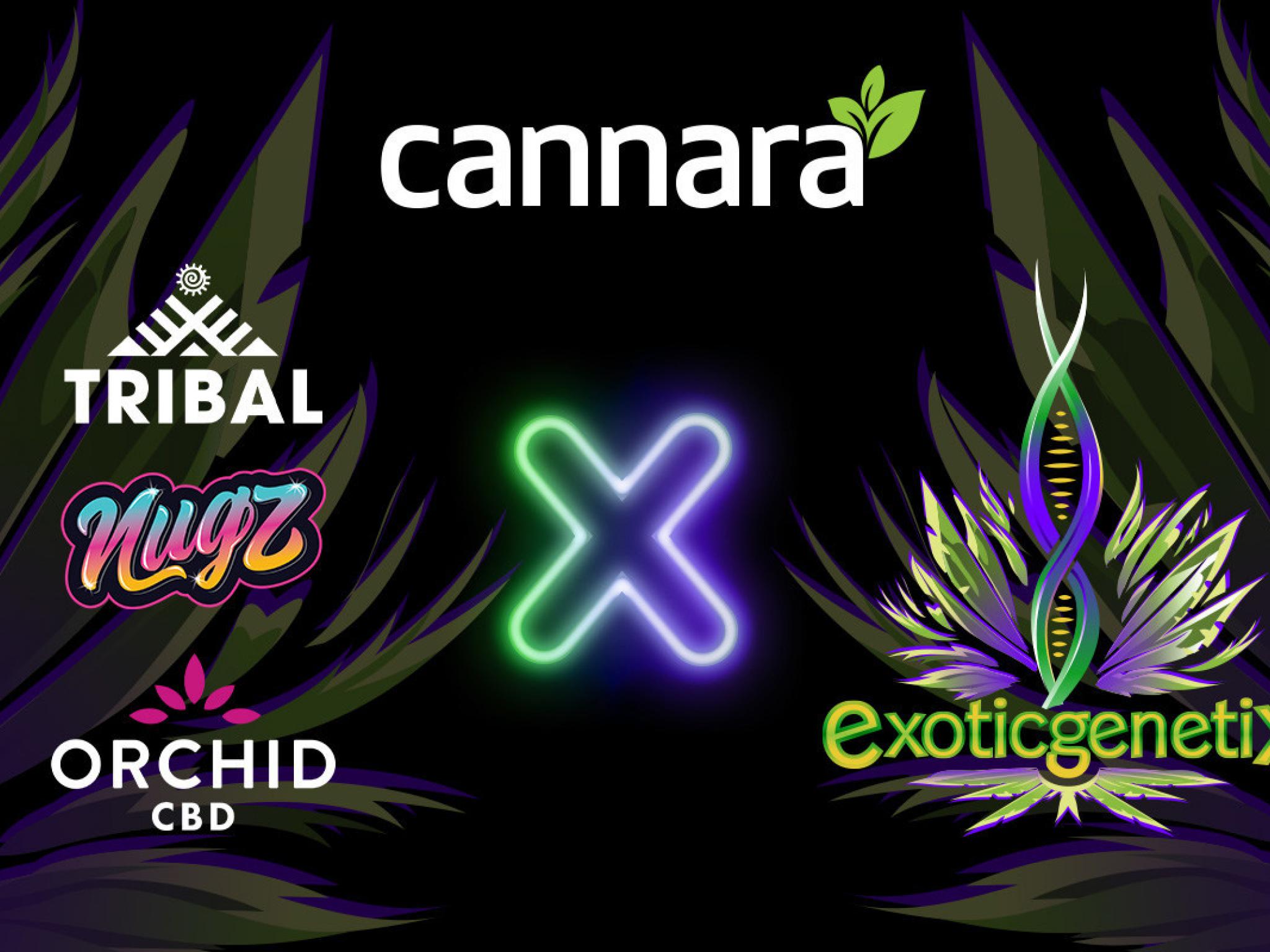  cannara-biotech-signs-an-exclusive-brand-partnership-with-exotic-genetix-in-canada 