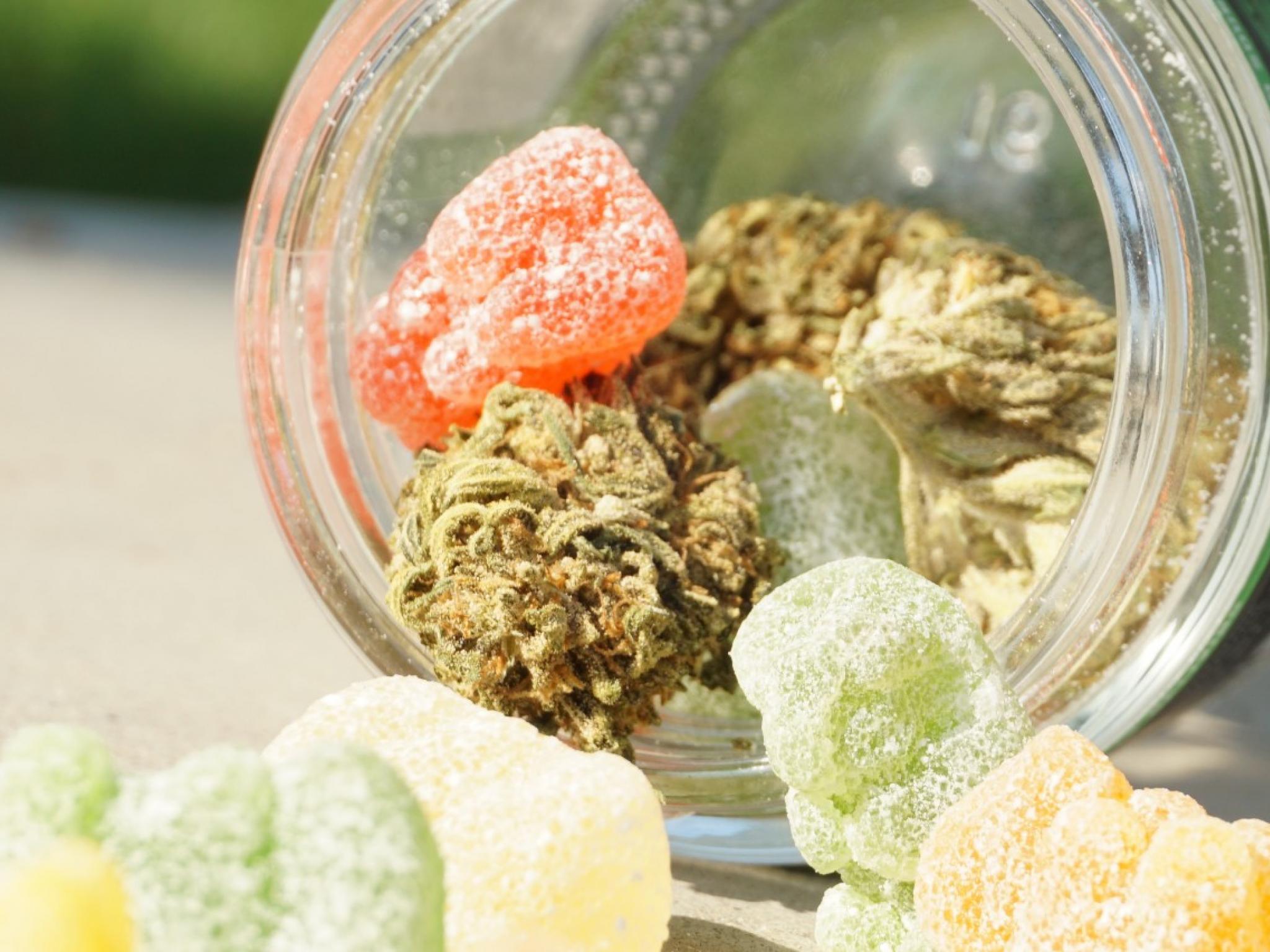  hytn-launches-nano-gummies-offering-faster-and-more-consistent-cannabis-experience 