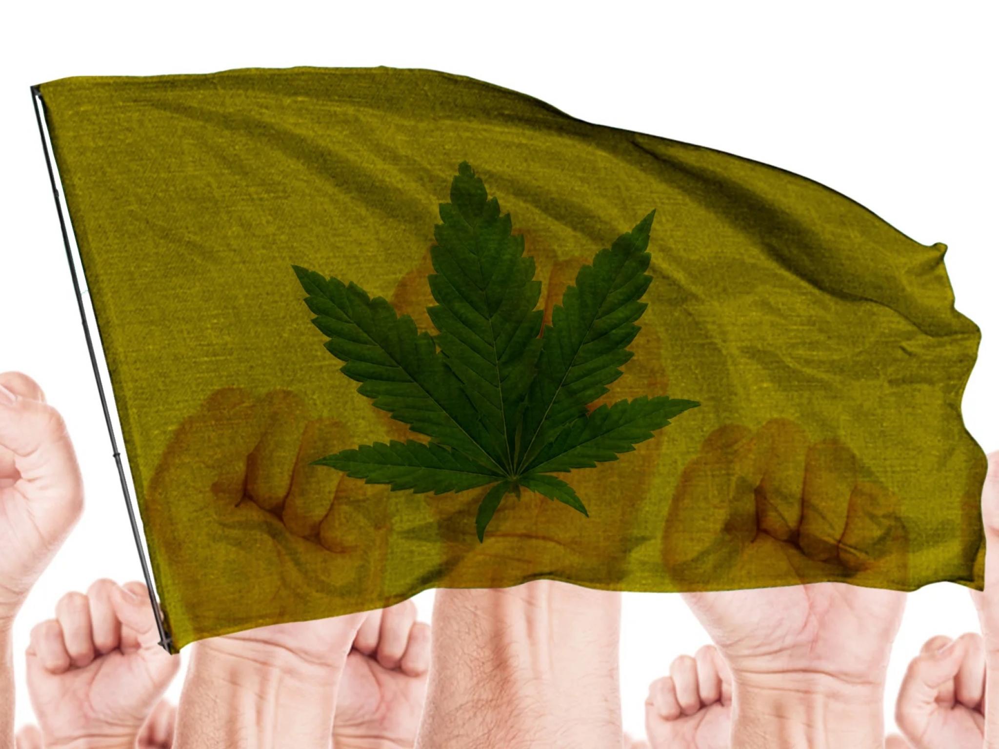  cannabis-workers-unionize-in-new-jersey-and-northern-california 