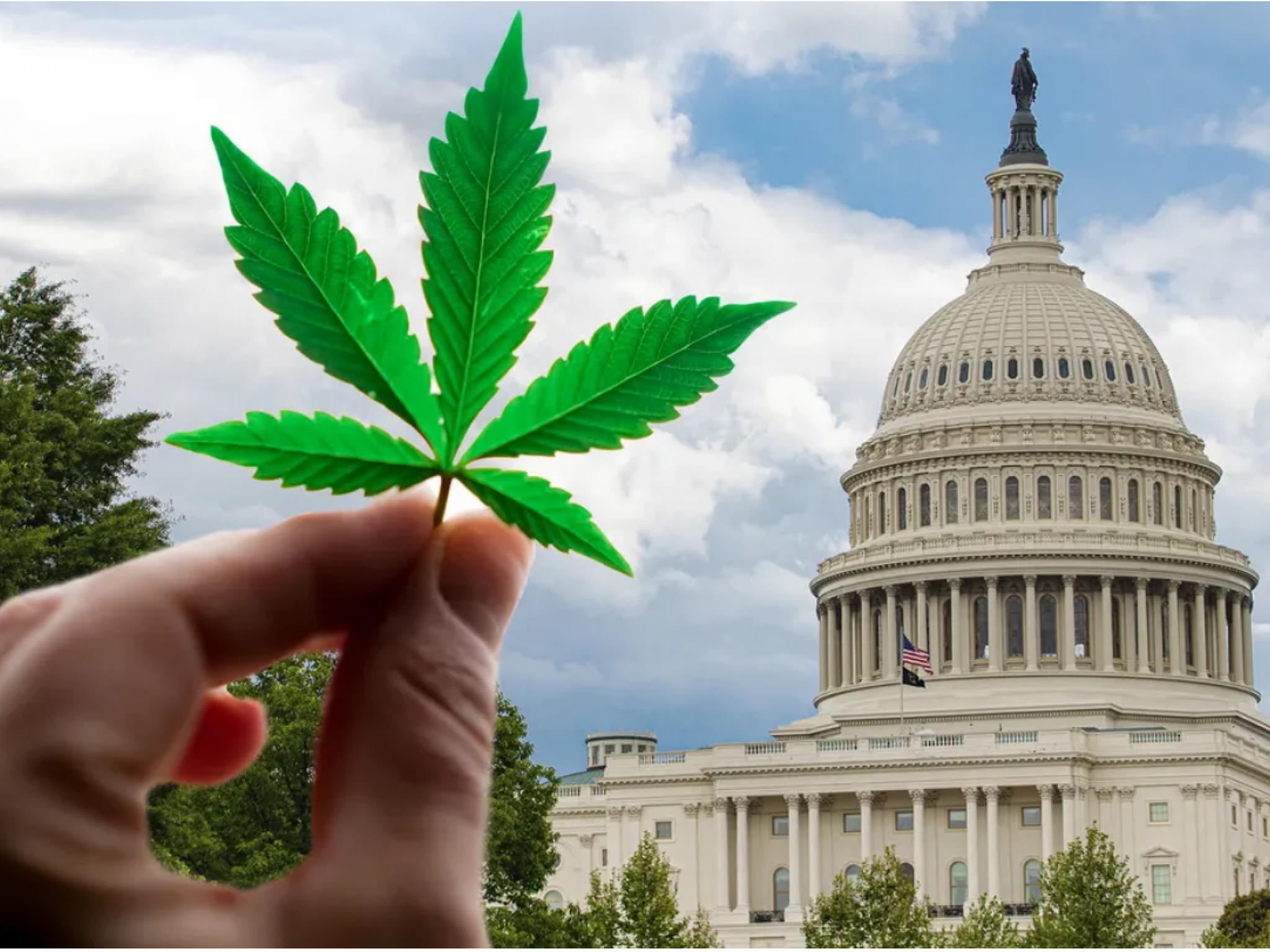  3-global-brewers-paying-dividends-exploring-cannabis---just-in-time-for-bipartisan-bill 