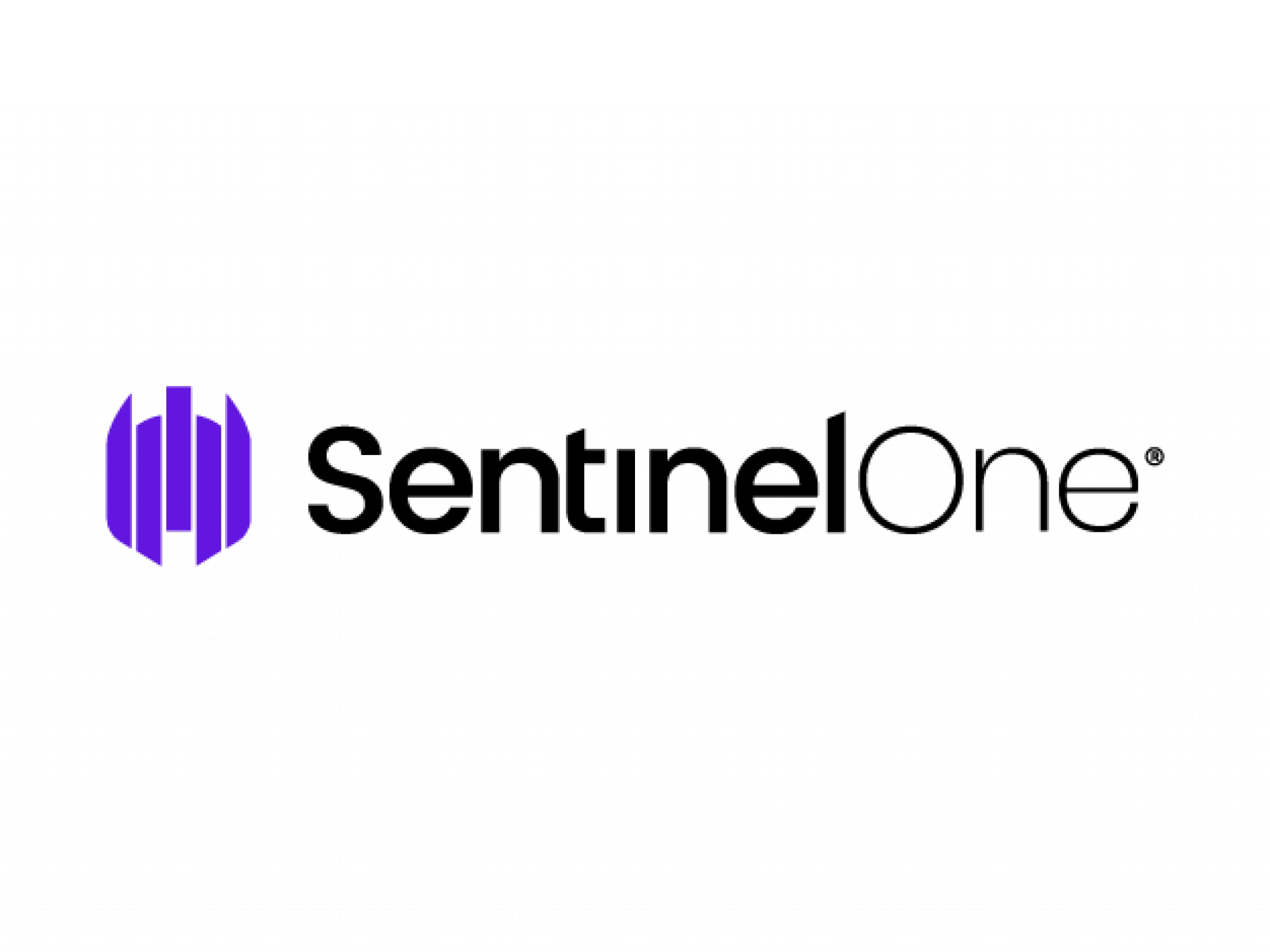 Cybersecurity Stock SentinelOne Has Path To Profitability Over Next Two Years, Analysts Say
