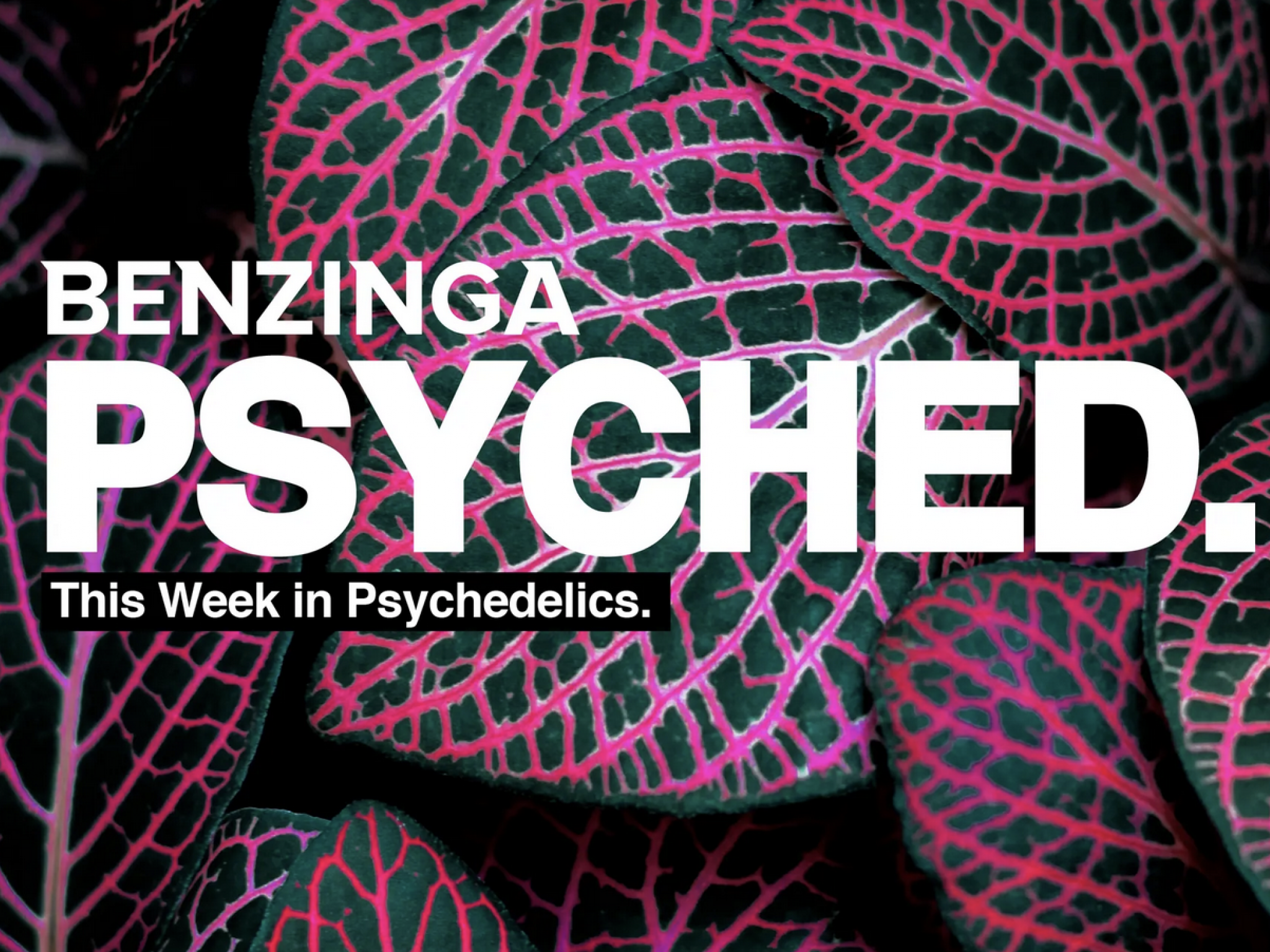 psyched-canadas-psychedelic-therapy-guidelines-39m-series-b-for-next-gen-drugs-mexicos-ancestral-roots--more 