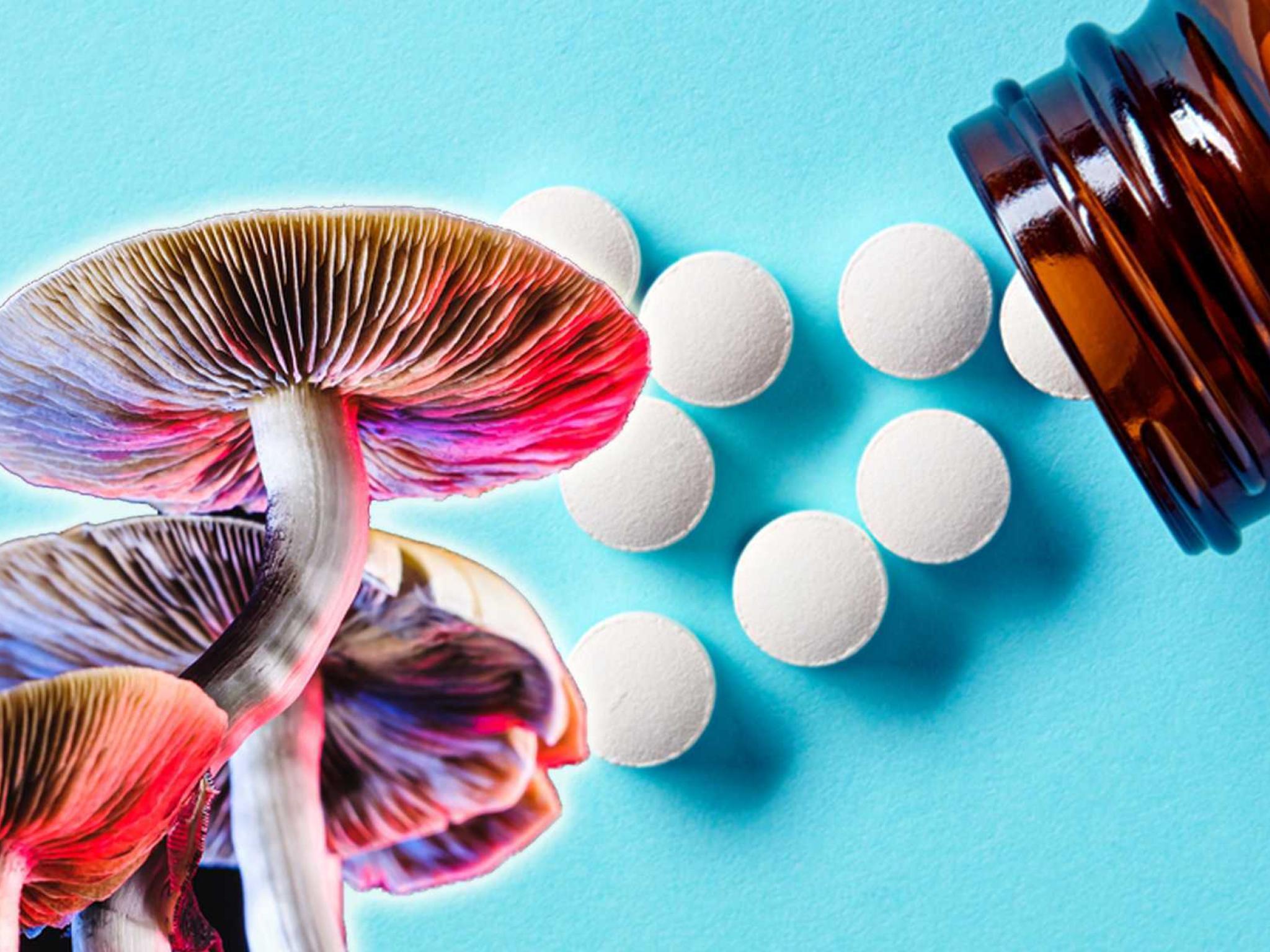  first-ever-clinical-trial-on-magic-mushroom-therapy-for-autisms-genetic-cause-receives-approval 
