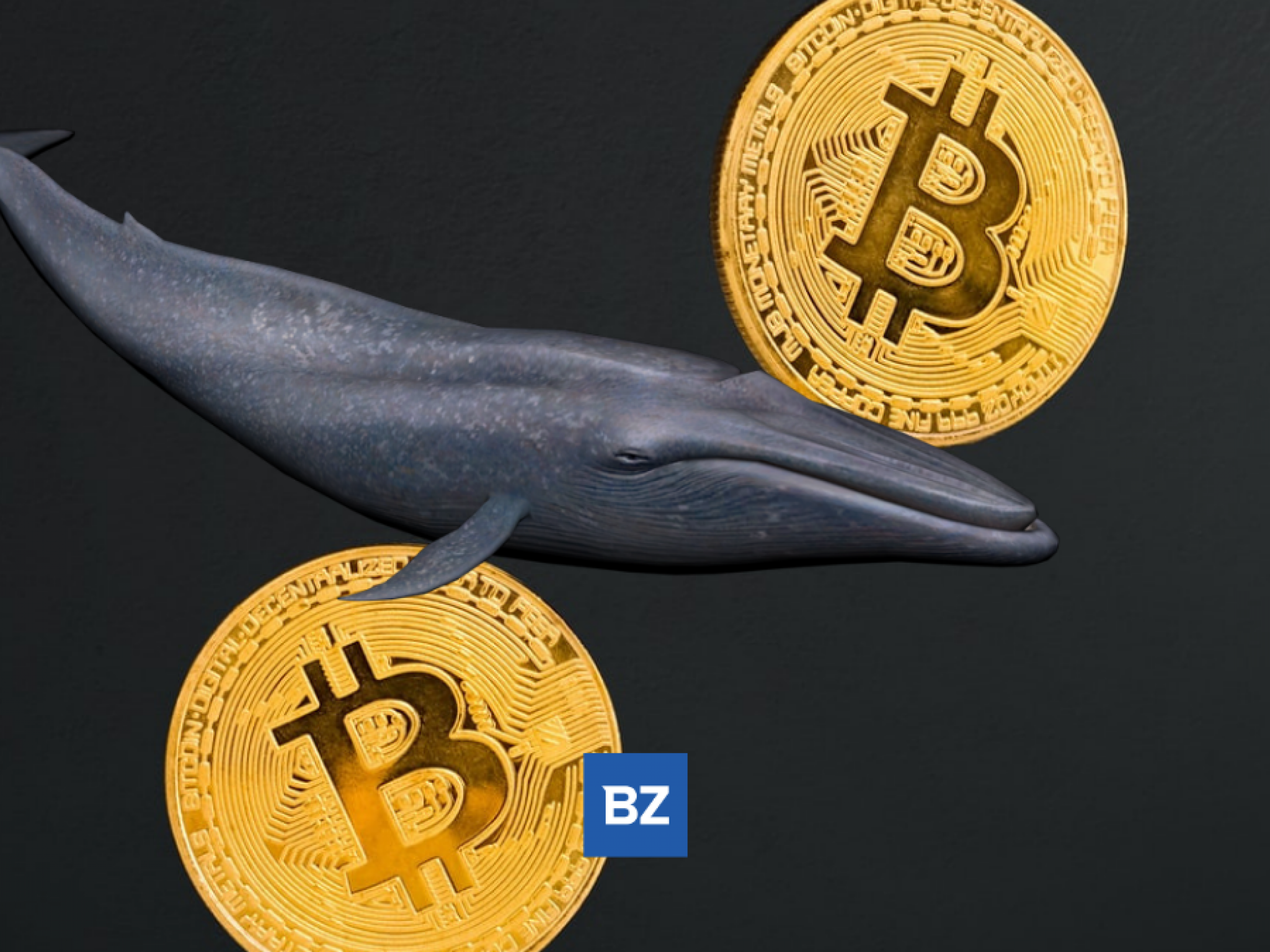 Bitcoin Whale Moves 3,107 BTC Off Coinbase