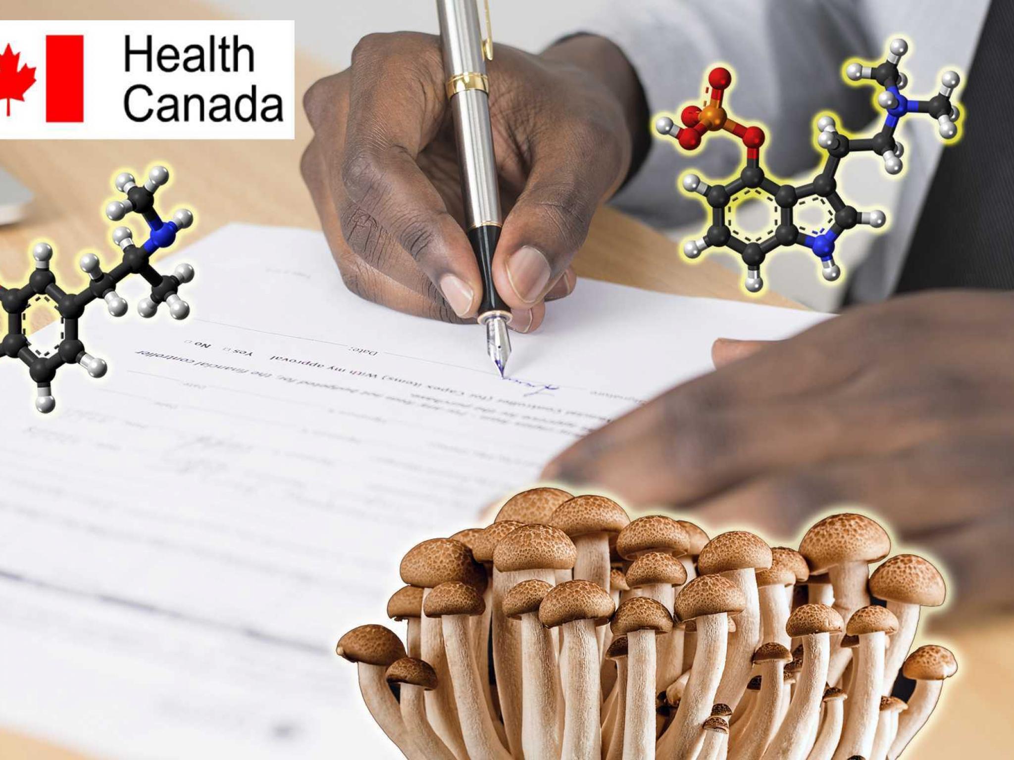  health-canada-grants-exemption-phase-2-trial-on-psilocybin-for-genetic-disorder 