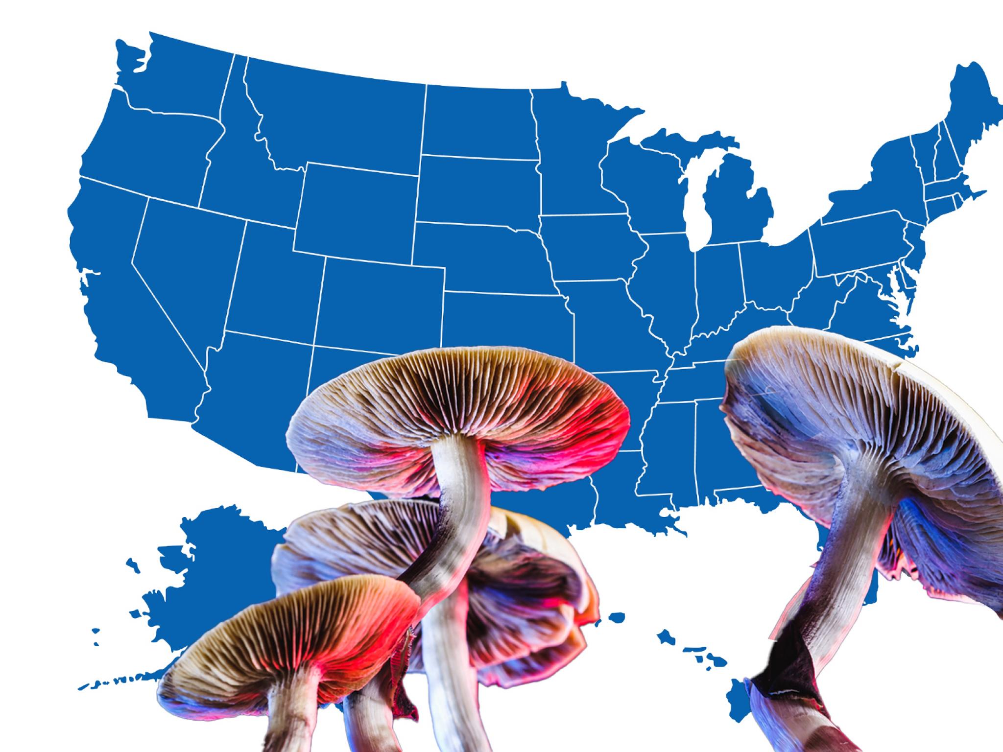  psychedelics-reform-update-latest-moves-in-9-of-22-states-with-existing-bills 