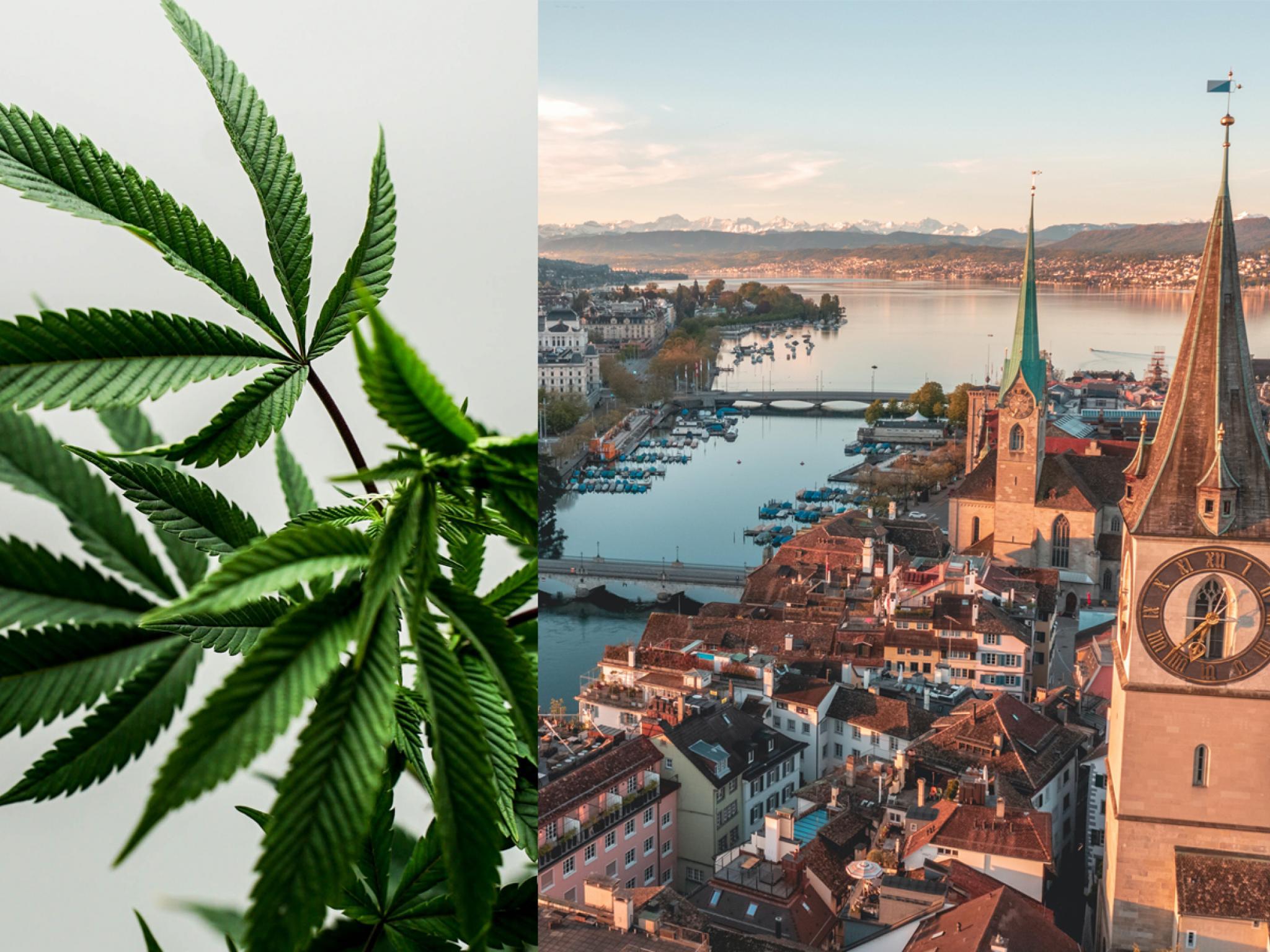  this-european-city-wants-to-legalize-marijuana-new-trial-launches-this-summer 