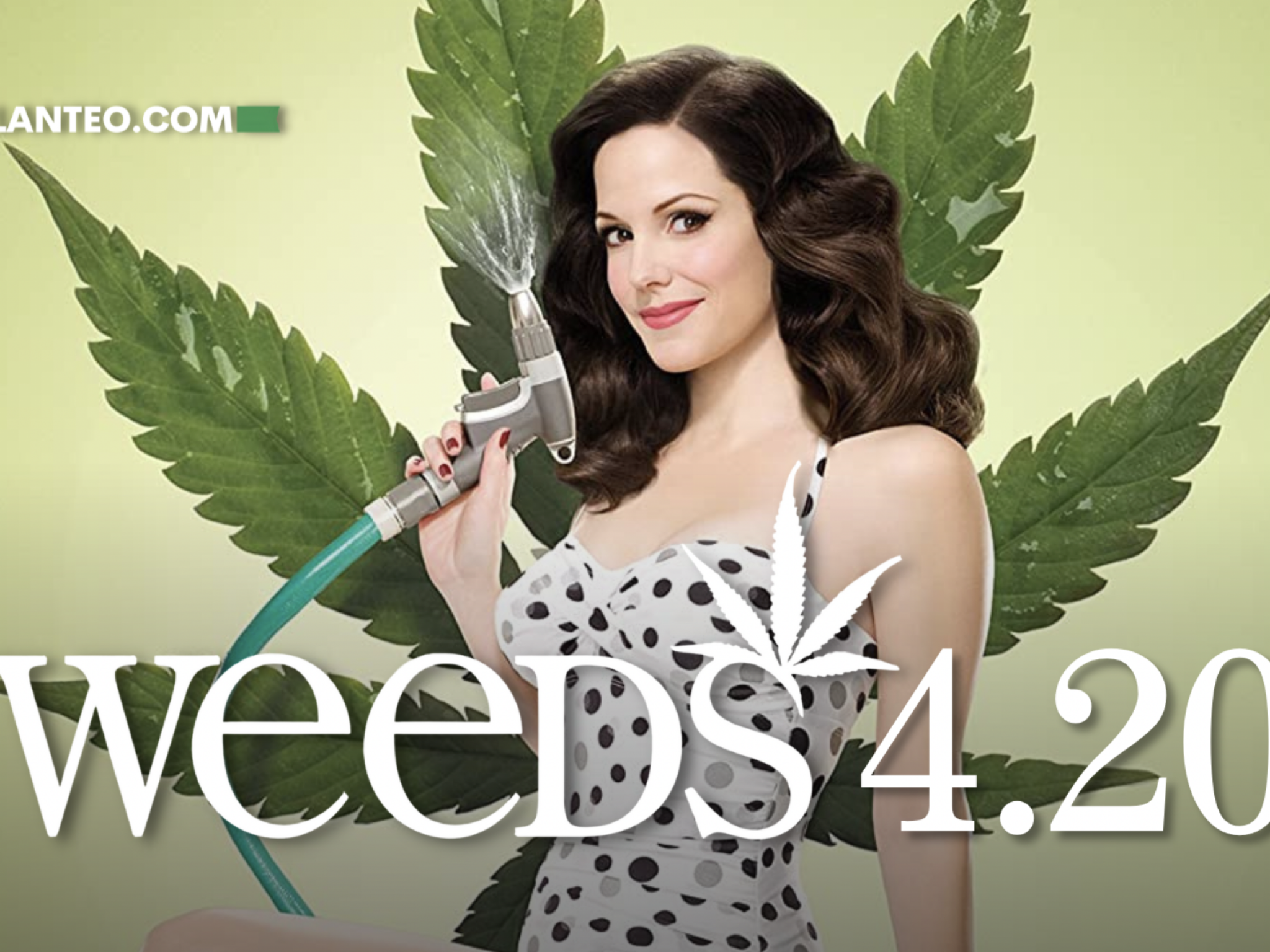  iconic-tv-series-weeds-reportedly-returning-with-exciting-sequel---and-mary-louise-parker 
