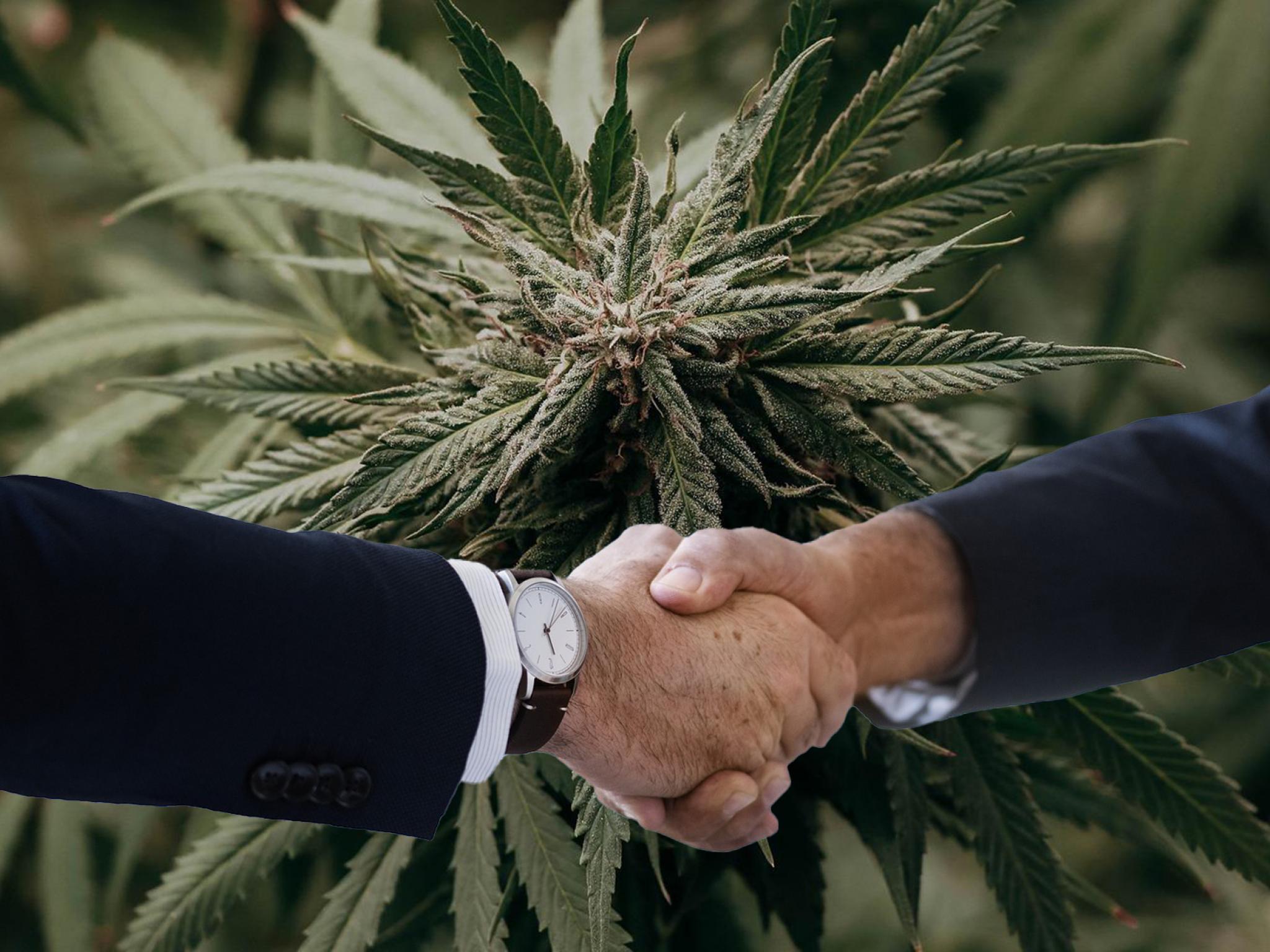  cannabis-movers--shakers-delawares-new-marijuana-commissioner-and-latest-industry-appointments 
