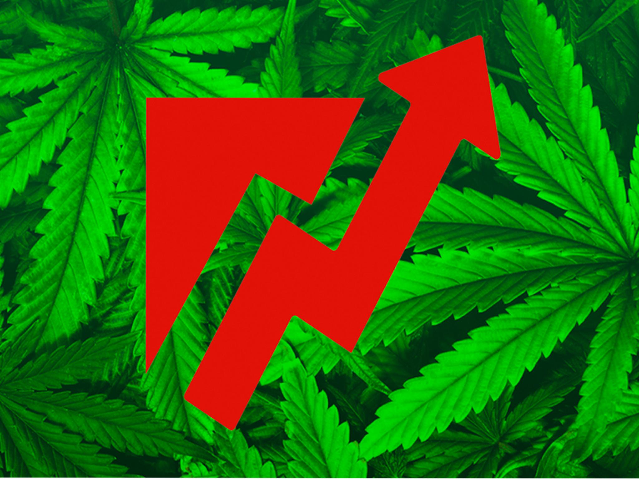  this-us-cannabis-stock-is-no-longer-at-the-mercy-of-us-regulations-heres-why 