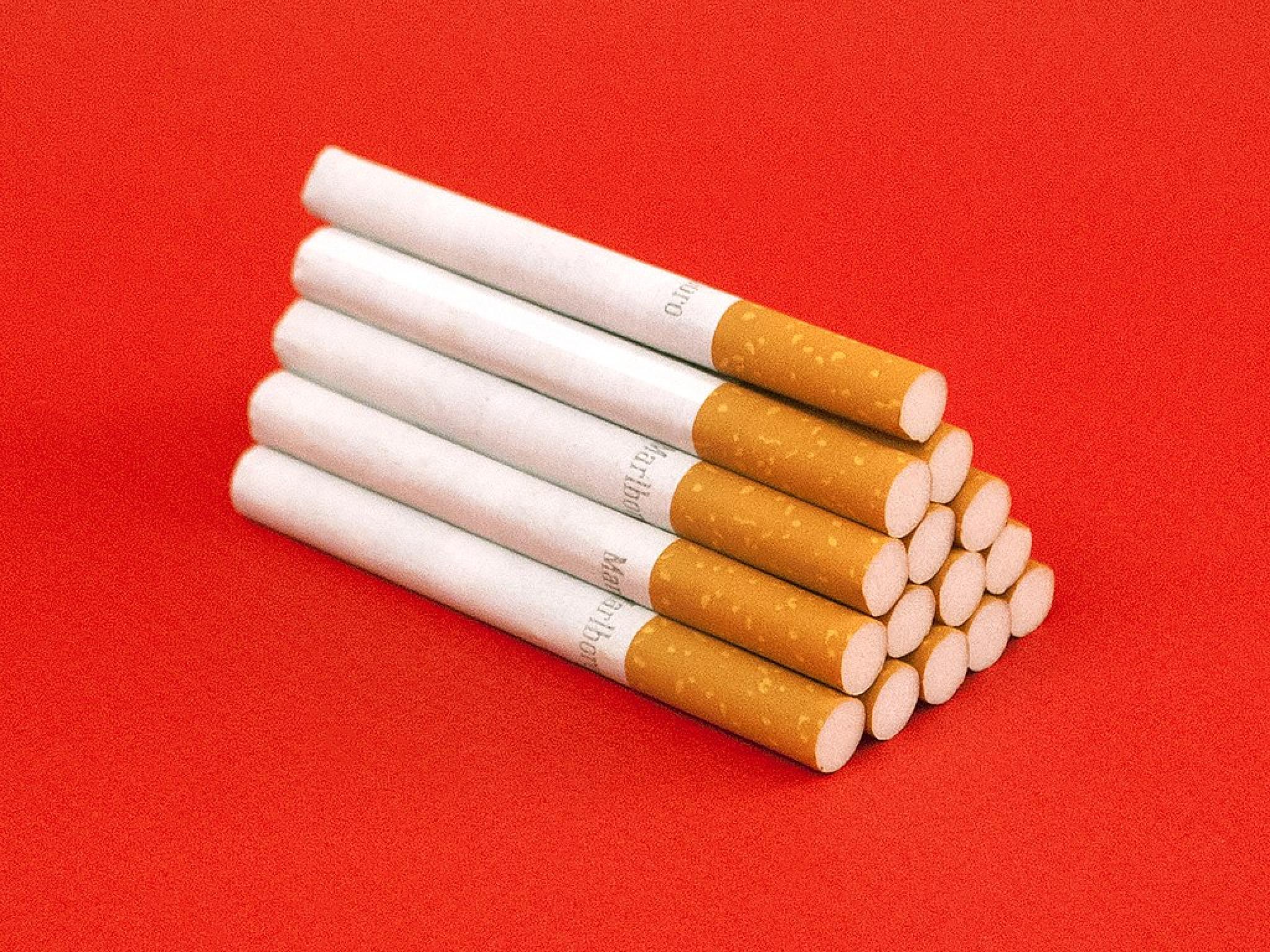 필립모리스, 무연제품 확대·진(Zyn) 성장세로 자신감 강화... 모건스탠리