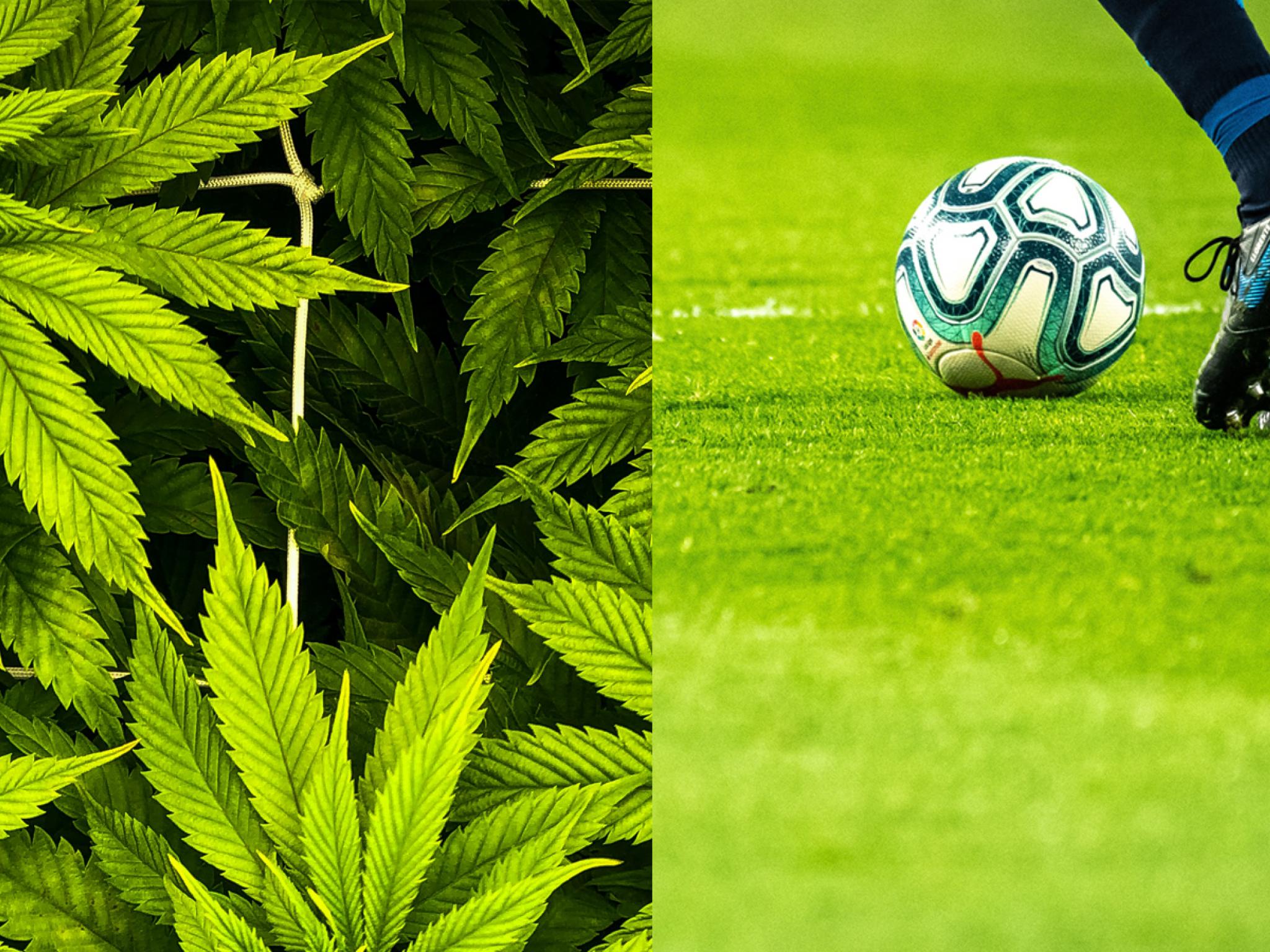 FIFA 공인 코스타리카 축구팀, 부상 예방·치료에 CBD 도입
