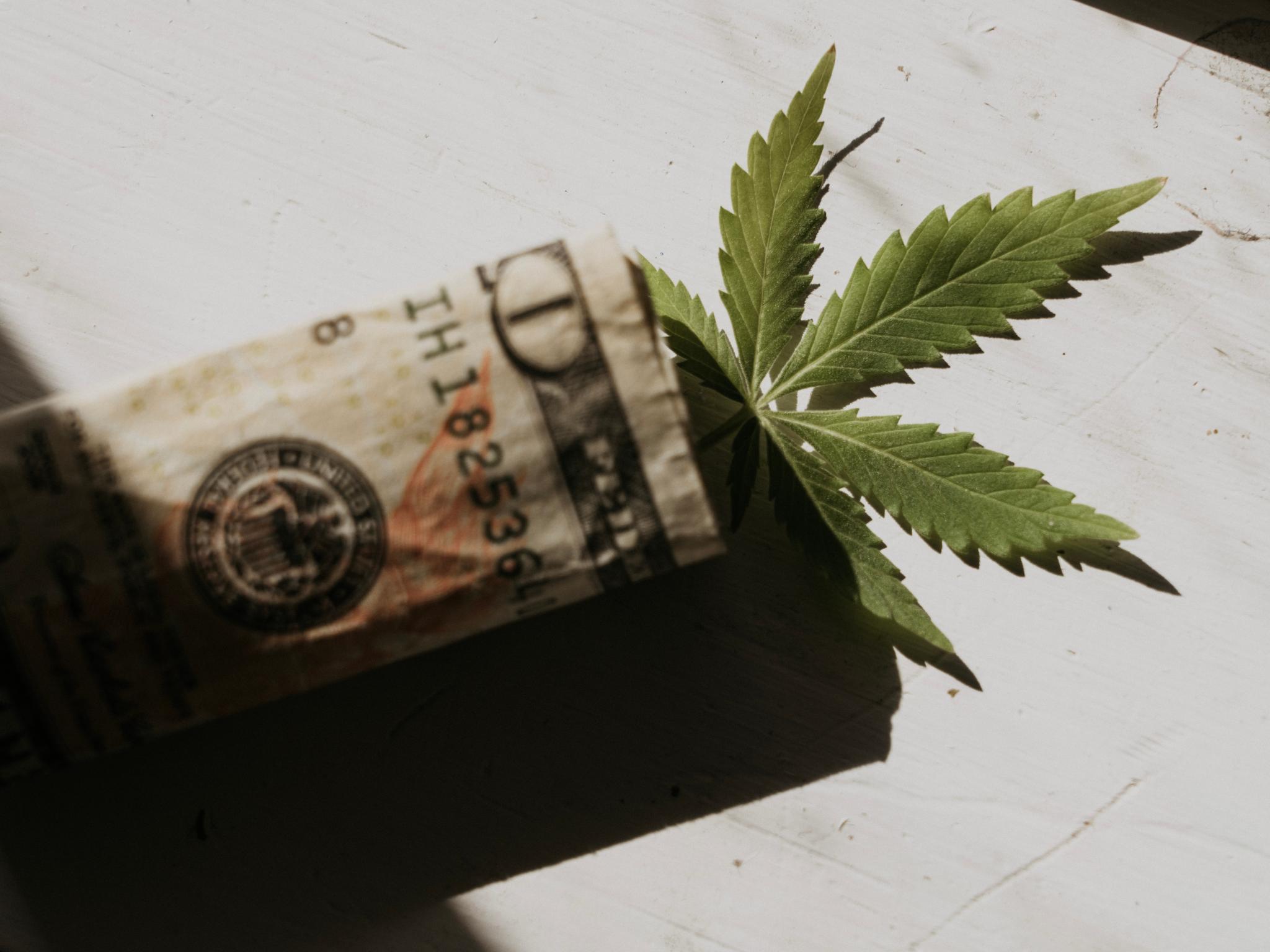  consolidation-and-cost-reduction-measures-behind-112-yoy-q3-revenue-growth-for-cannabis-co-bzam 