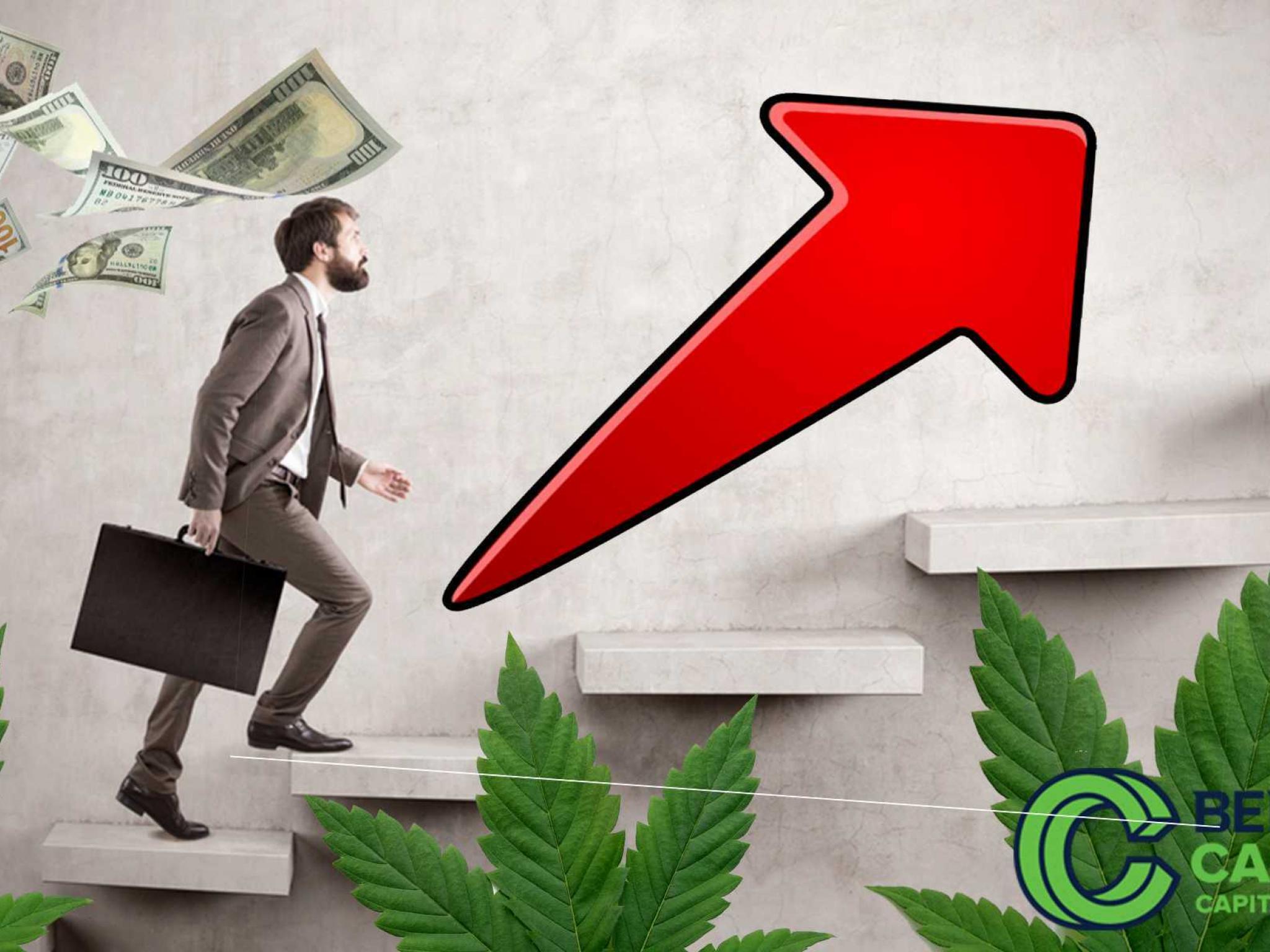  latest-cannabis-hires-three-new-ceos-and-more 