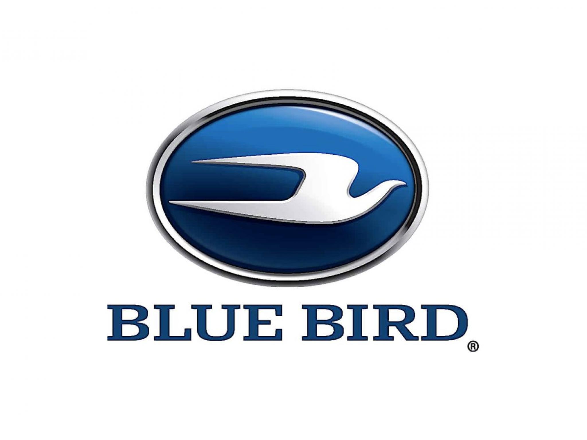  blue-bird-posts-upbeat-results-joins-oil-dri-corporation-of-america-eagle-bulk-shipping-and-other-big-stocks-moving-higher-on-tuesday 