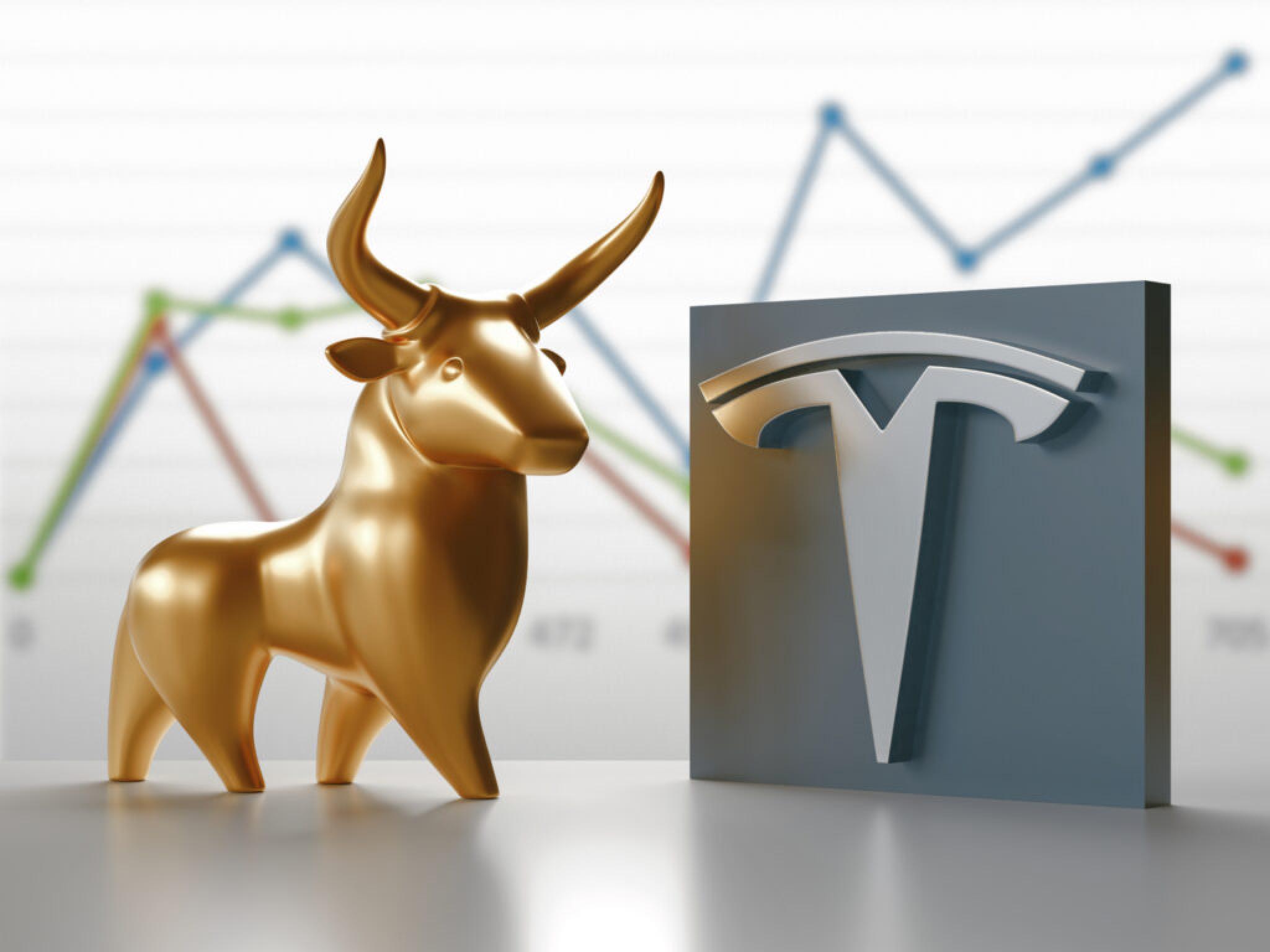  tesla-bull-gary-black-rues-attacks-from-fellow-bulls-says-opposing-management-strategy-is-not-attacking-elon 
