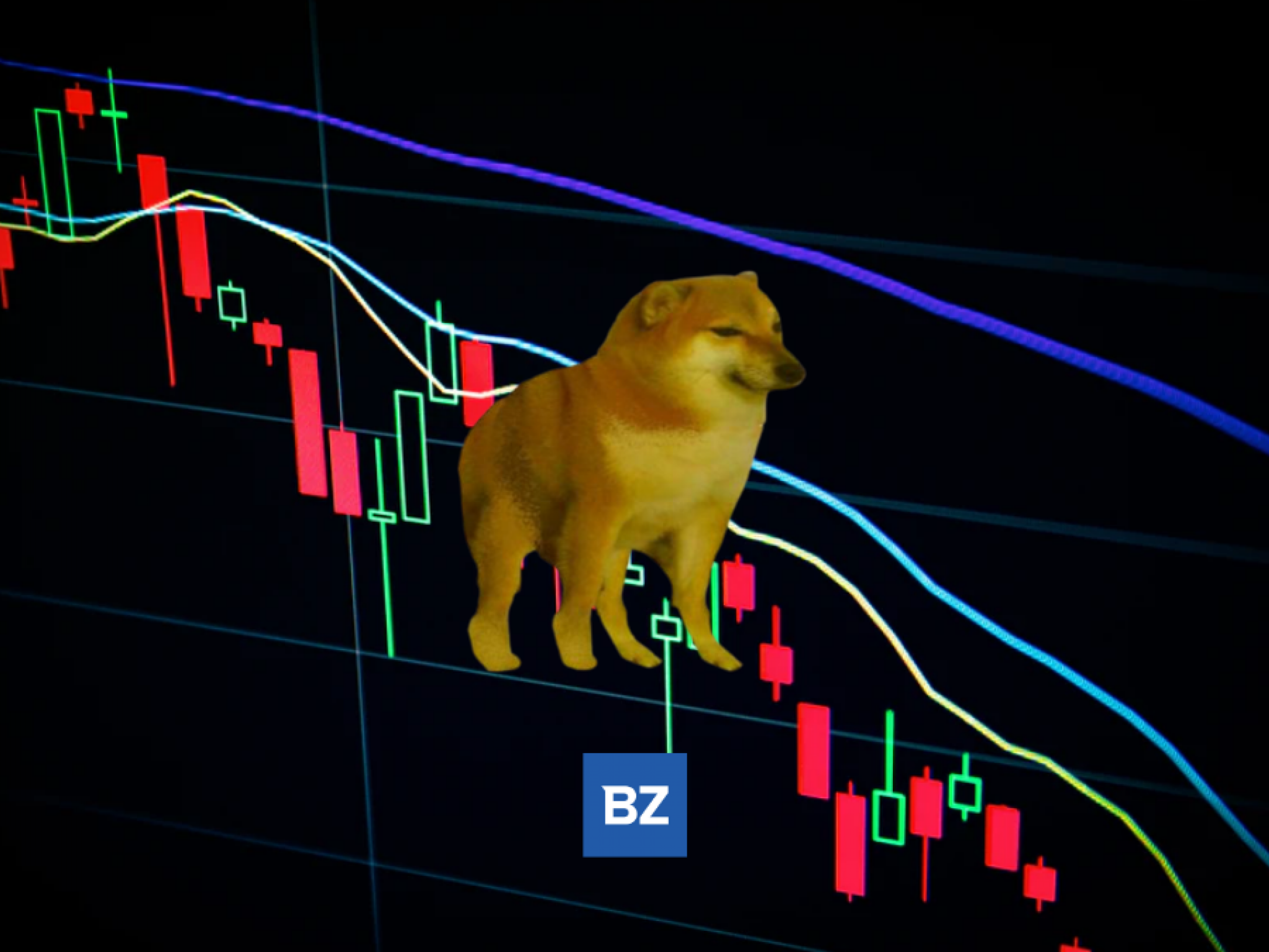 dogecoin-down-more-than-10-within-24-hours 
