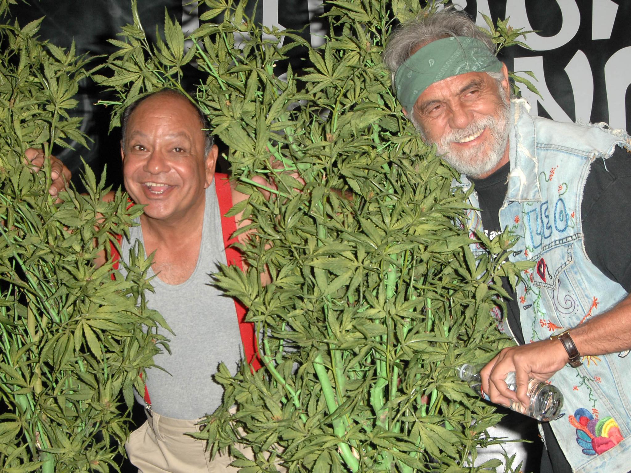  cheech--chong-cannabis-products-in-new-york-terpene-cocktails-and-more-alternatives-to-elevate-dry-january 