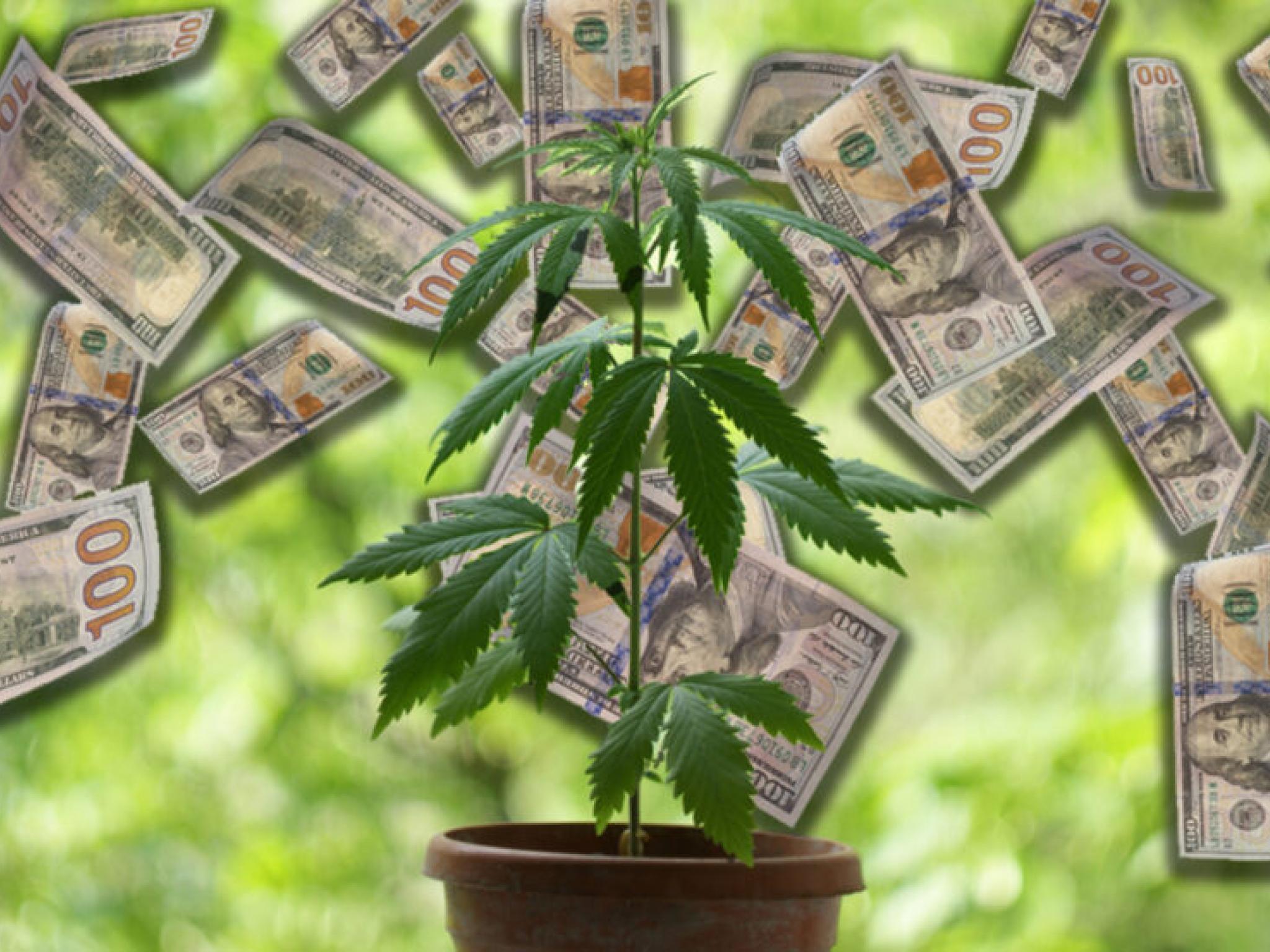  auxly-cannabis-achieves-record-q1-adjusted-ebitda-soars-1523-revenue-grows-5-strong-2024-ahead 