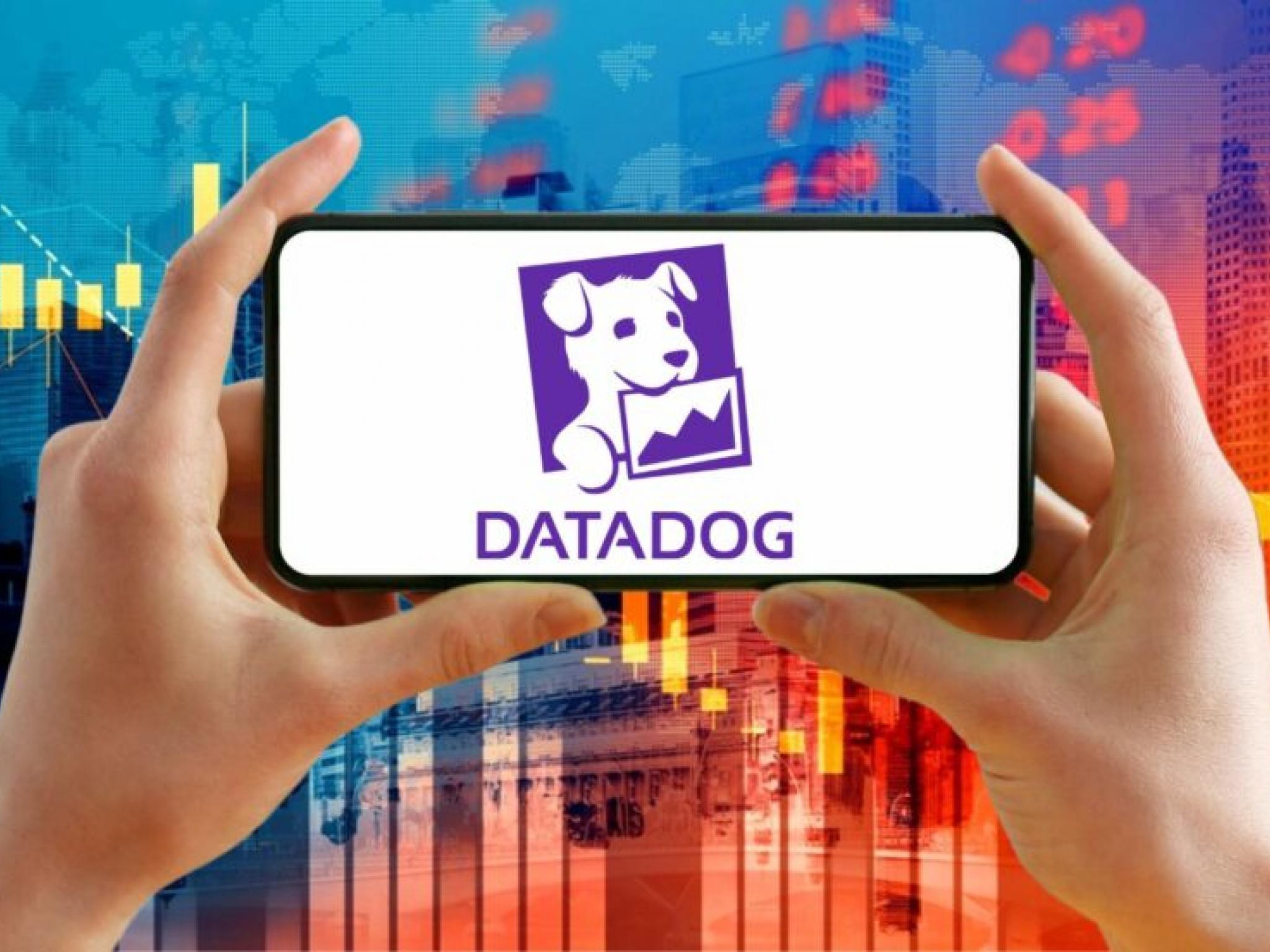  datadog-is-the-next-high-quality-large-cap-stock-says-analyst 