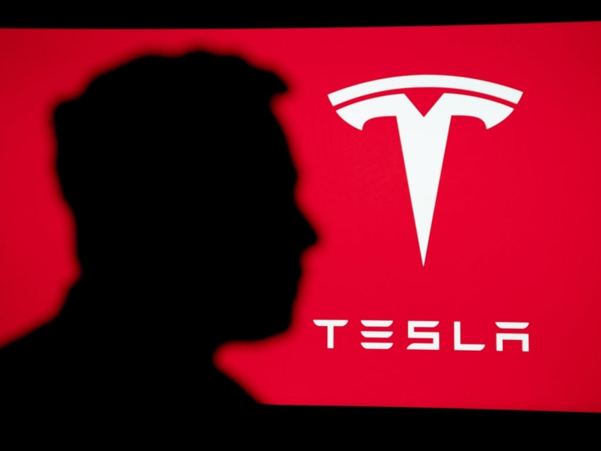  tesla-global-shareholders-risk-exclusion-ahead-of-crucial-vote-amid-cross-border-voting-woes-report 