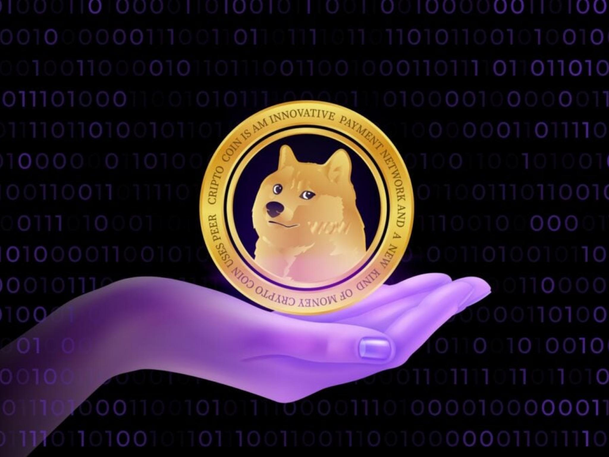  will-dogecoins-price-discovery-follow-bitcoin-like-it-did-historically 