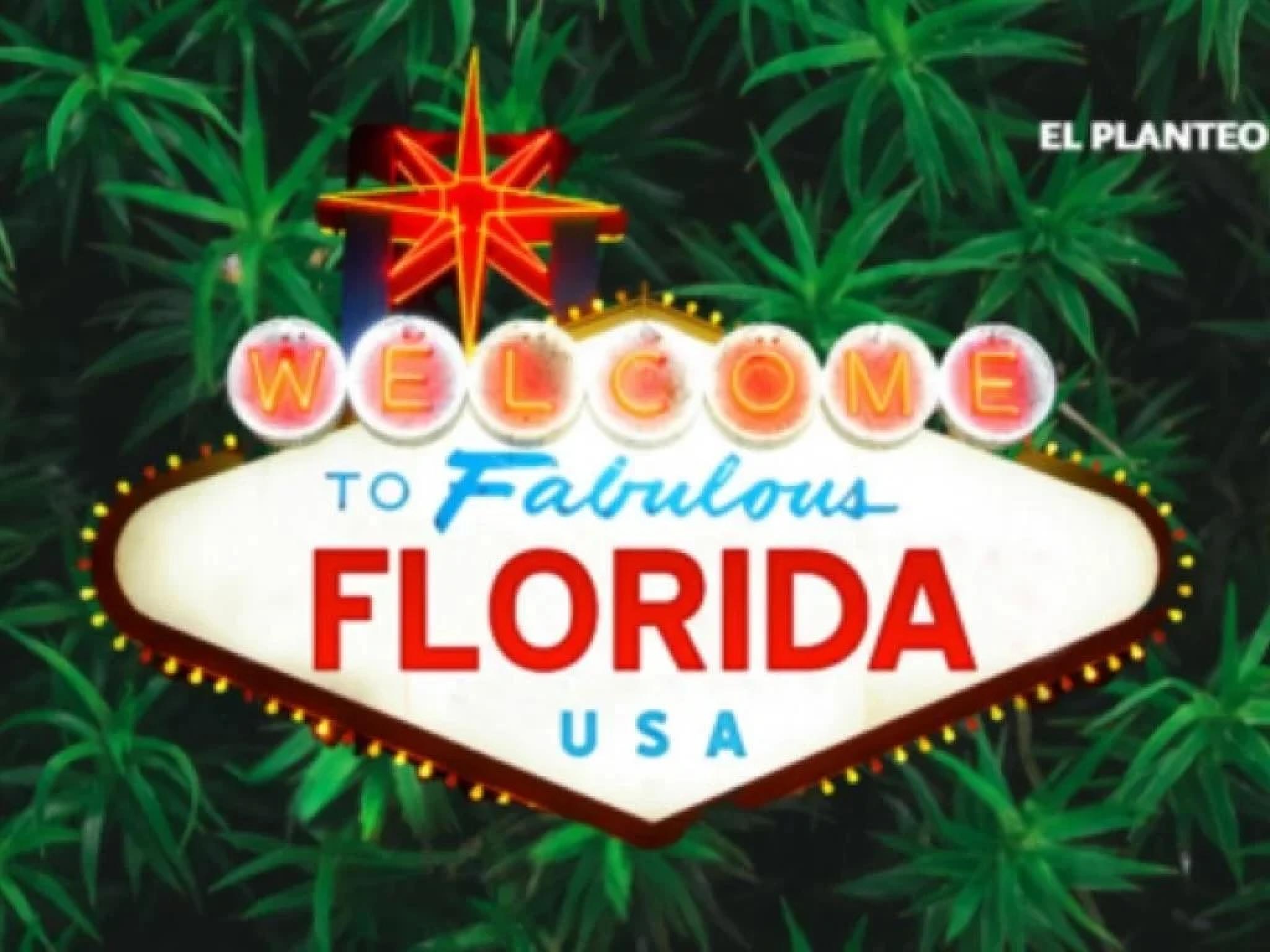  most-florida-marijuana-is-illegal-mom-cautions-against-dangers-of-unregulated-weed-in-new-cannabis-legalization-ad 