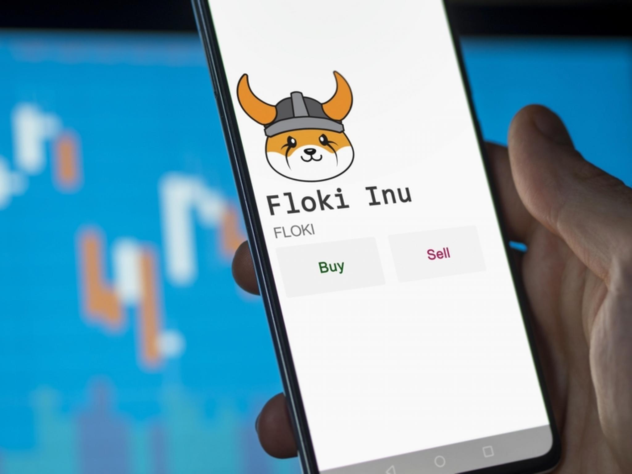  floki-inu-launches-name-service-adding-higher-utility-leaves-dogecoin-shiba-inu-in-dust-with-47-monthly-gains 