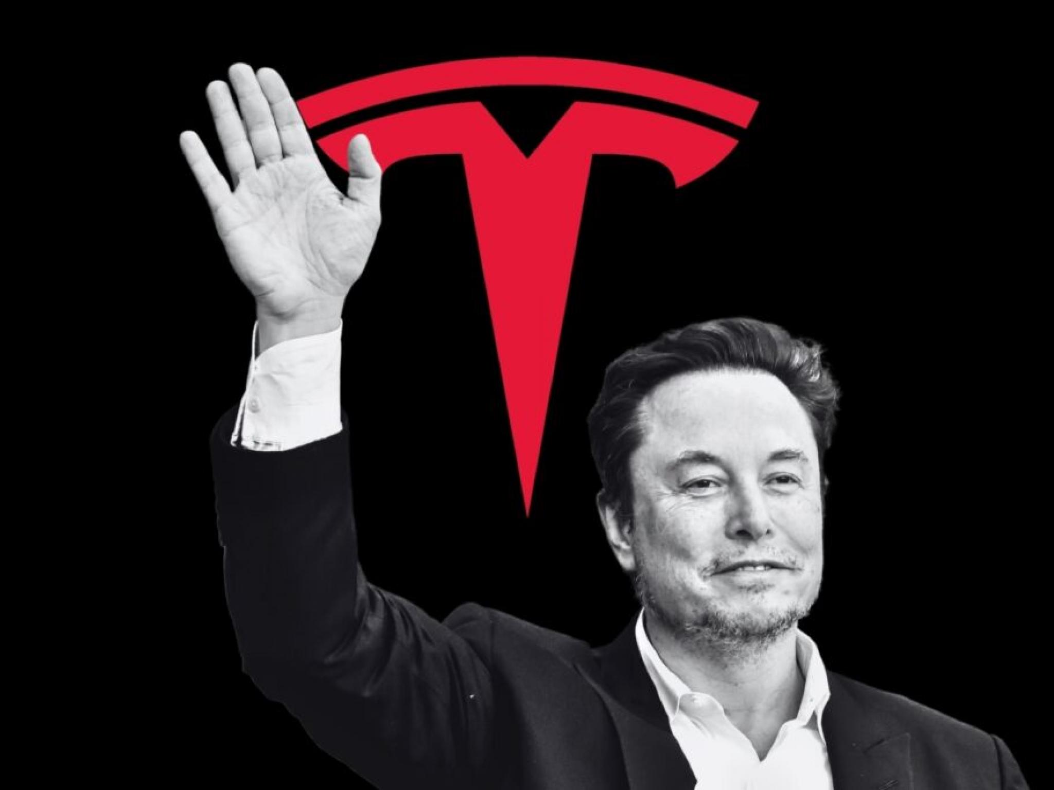  tesla-bull-gary-black-sees-elon-musks-56b-pay-package-pass-easily-at-shareholder-meeting-expects-stock-to-jump-3-5-over-the-next-few-days 
