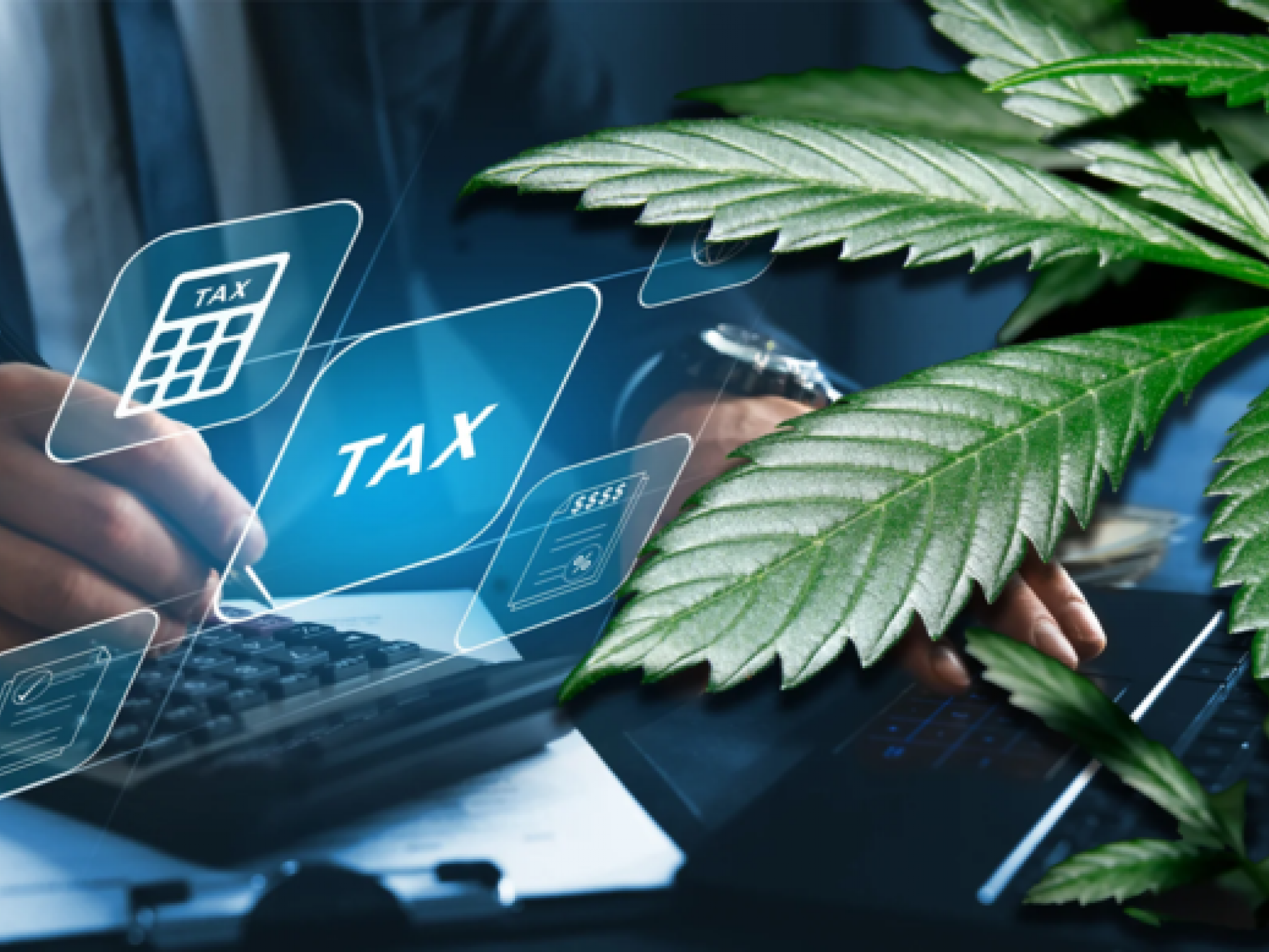  end-of-irs-280e-on-the-horizon-what-cannabis-rescheduling-means-for-business-tax-deductions 