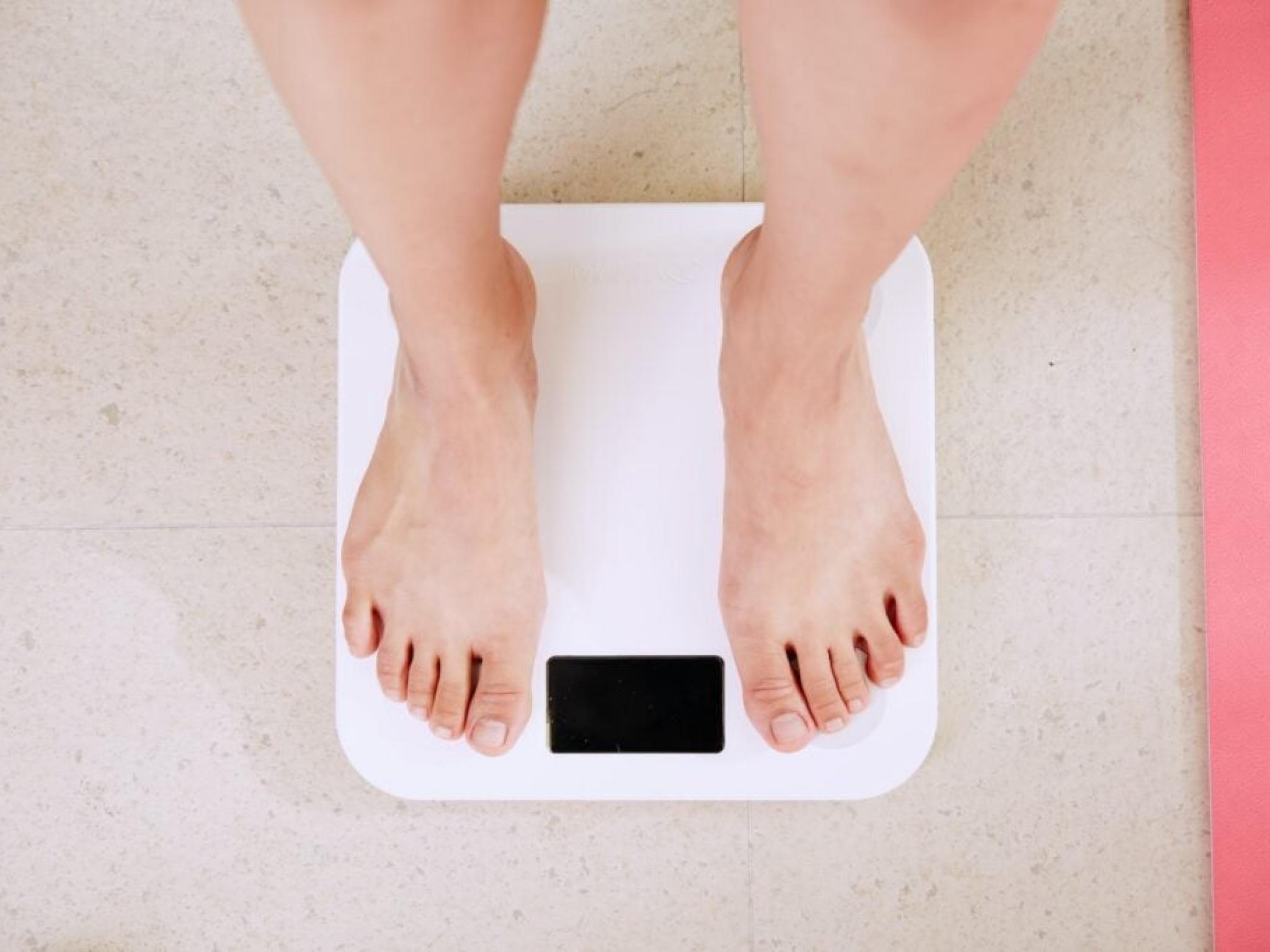 살빼는 약 2강 체제 붕괴... 일라이 릴리·노보 주가 급락