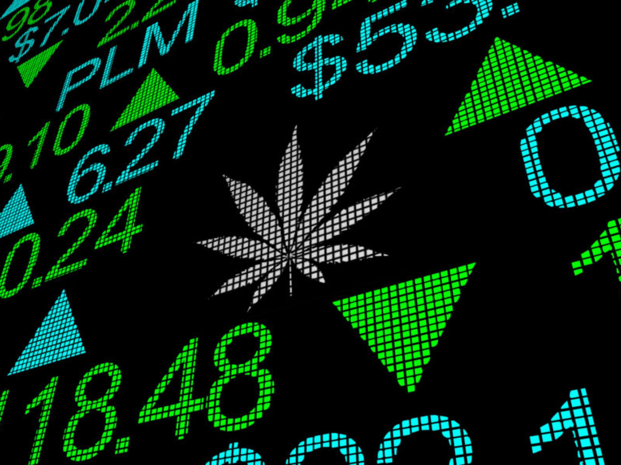  tilray-stock-is-trading-higher-tuesday-heres-why 